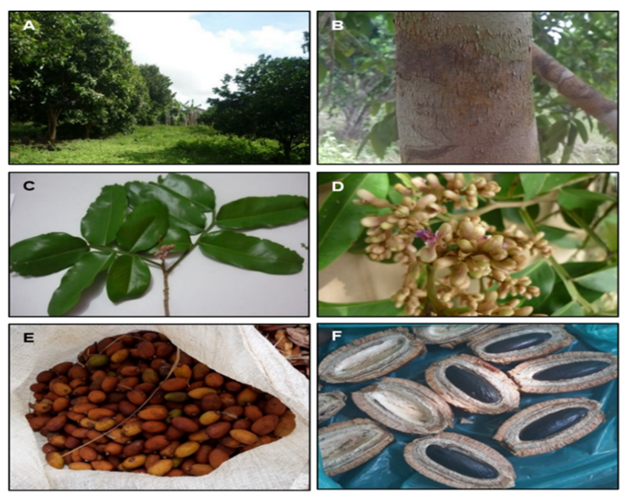 Applsci 13 09600 g001 Applsci 13 09600 g001