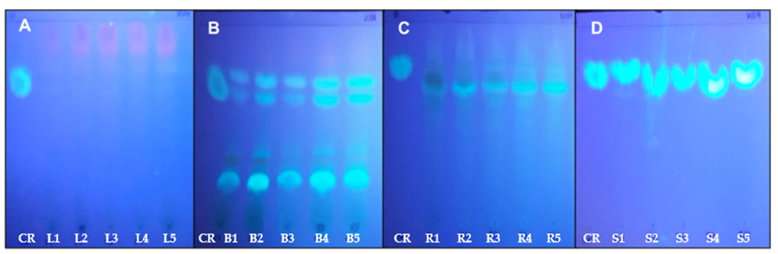 Applsci 13 09600 g003 Applsci 13 09600 g003