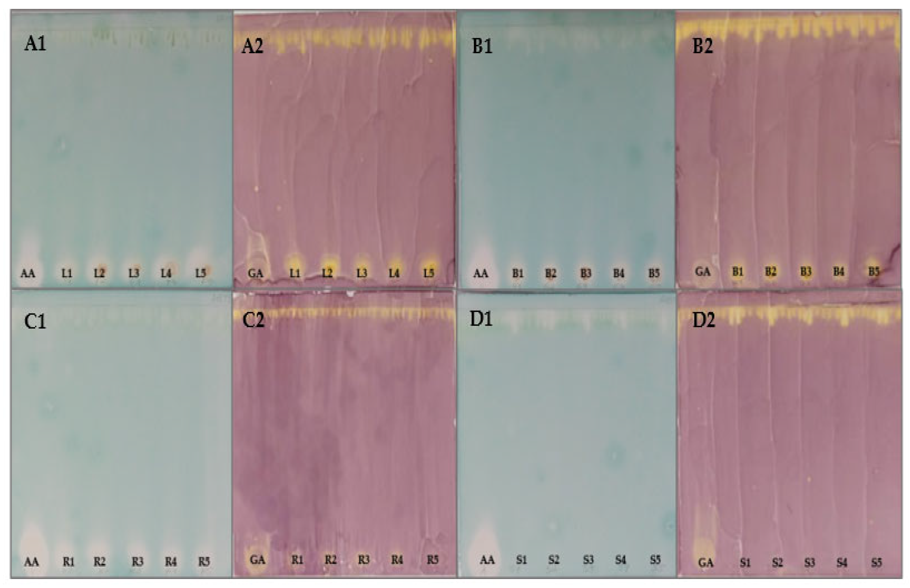 Applsci 13 09600 g004 Applsci 13 09600 g004