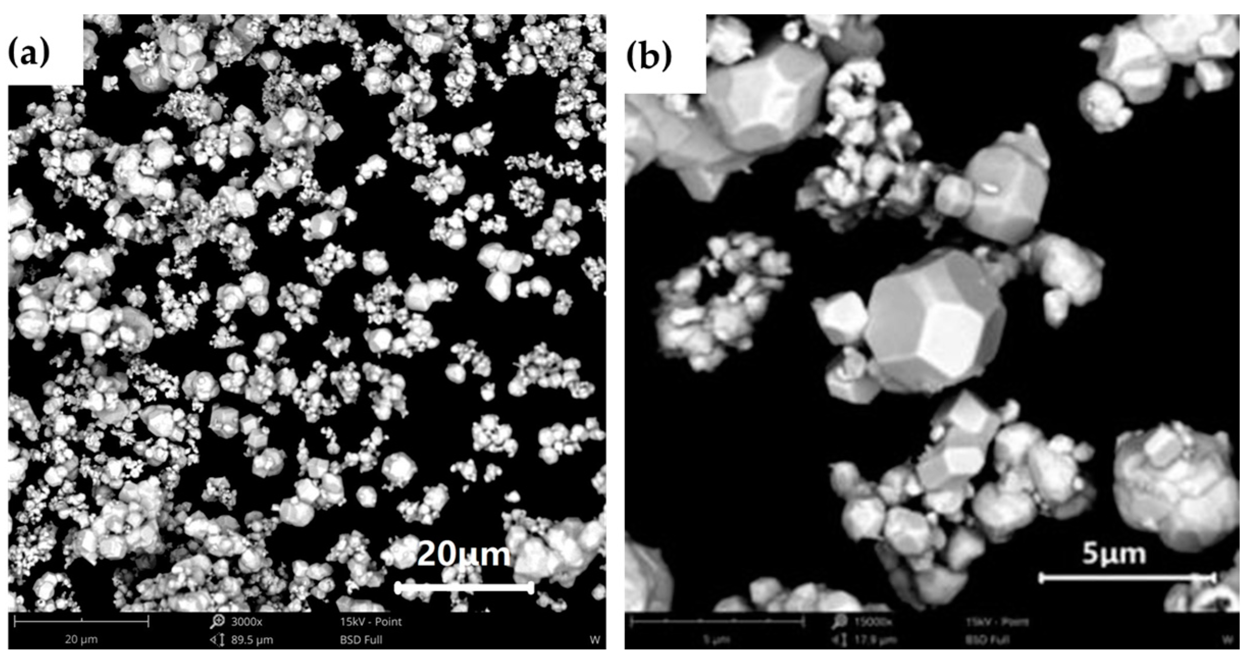 Applsci 13 09608 g001