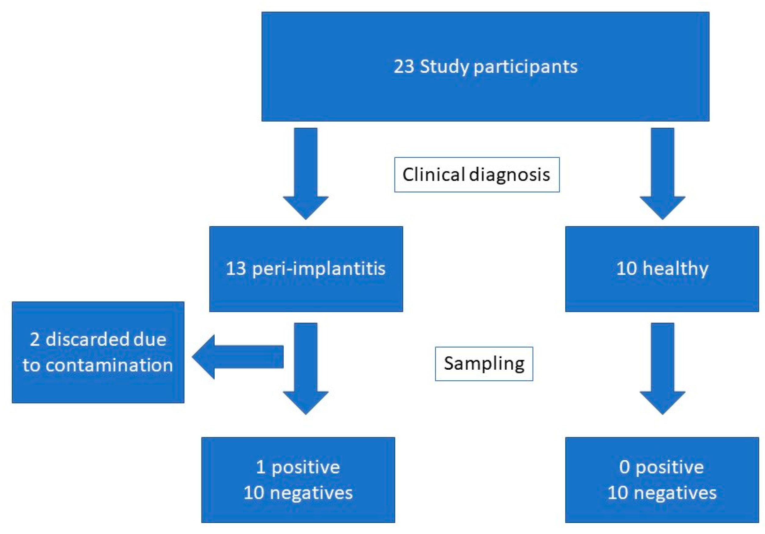 Applsci 13 09621 g005
