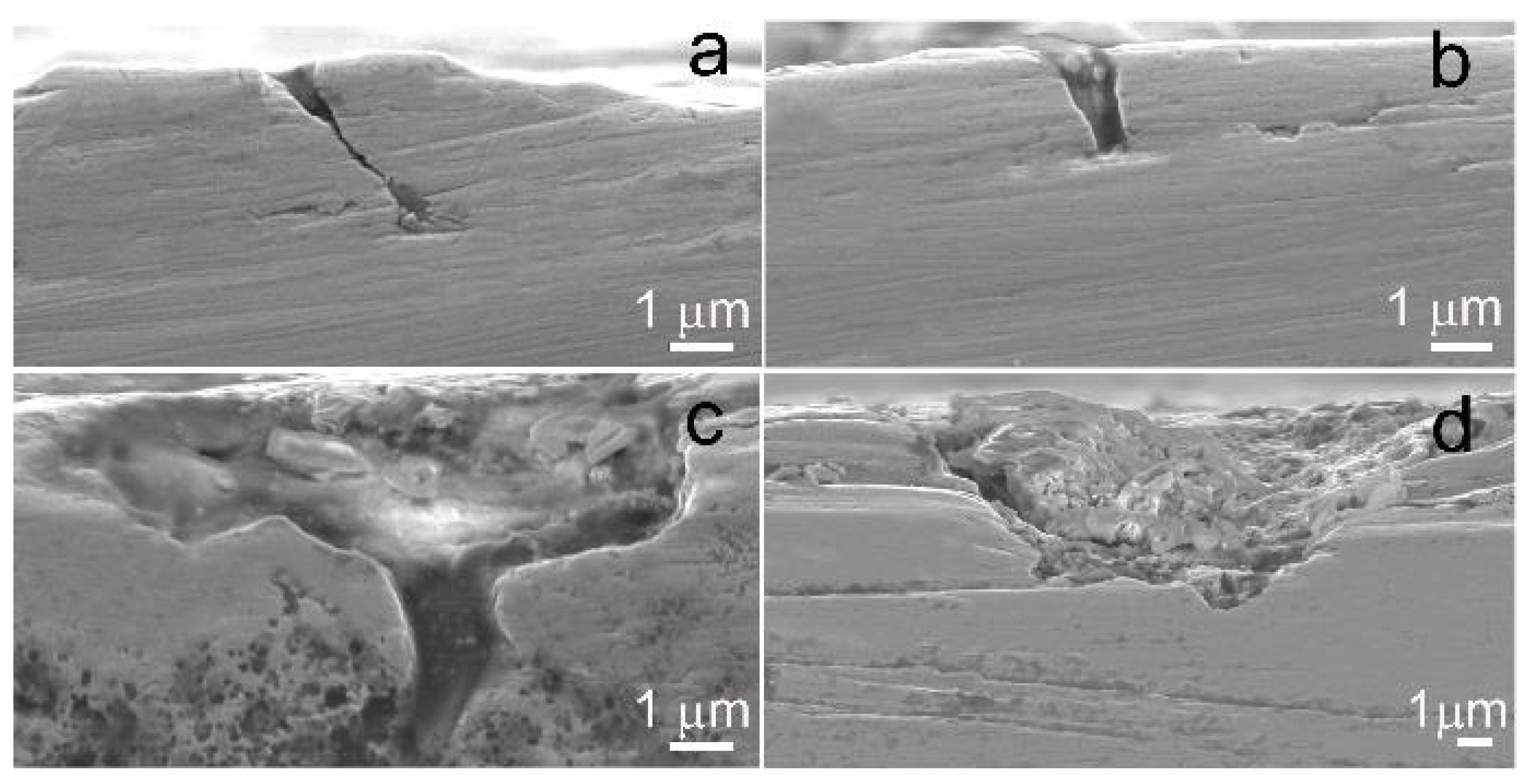 Applsci 13 09628 g010 Applsci 13 09628 g010
