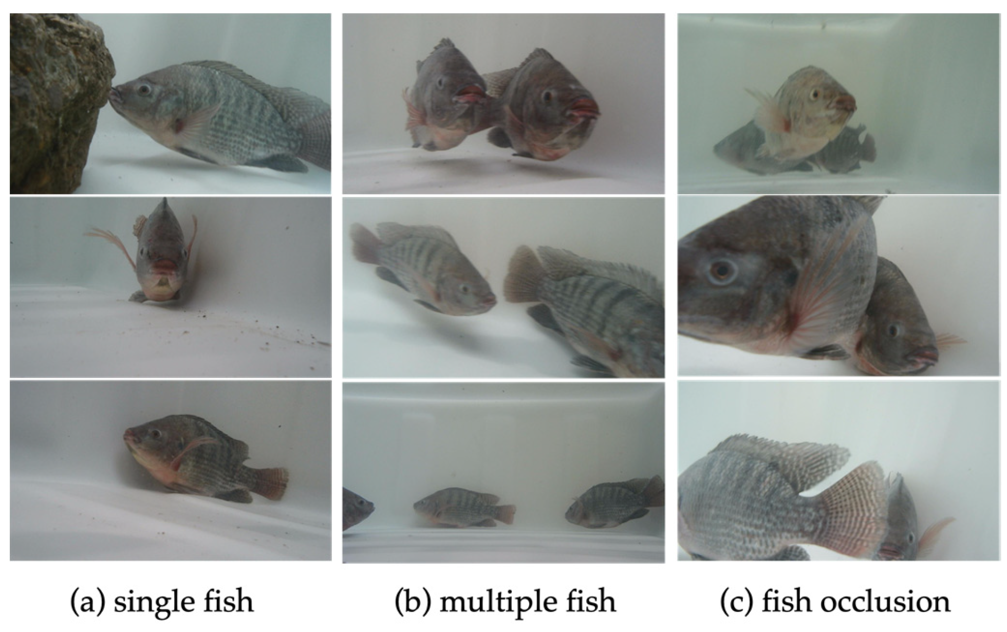 Applsci 13 09635 g002