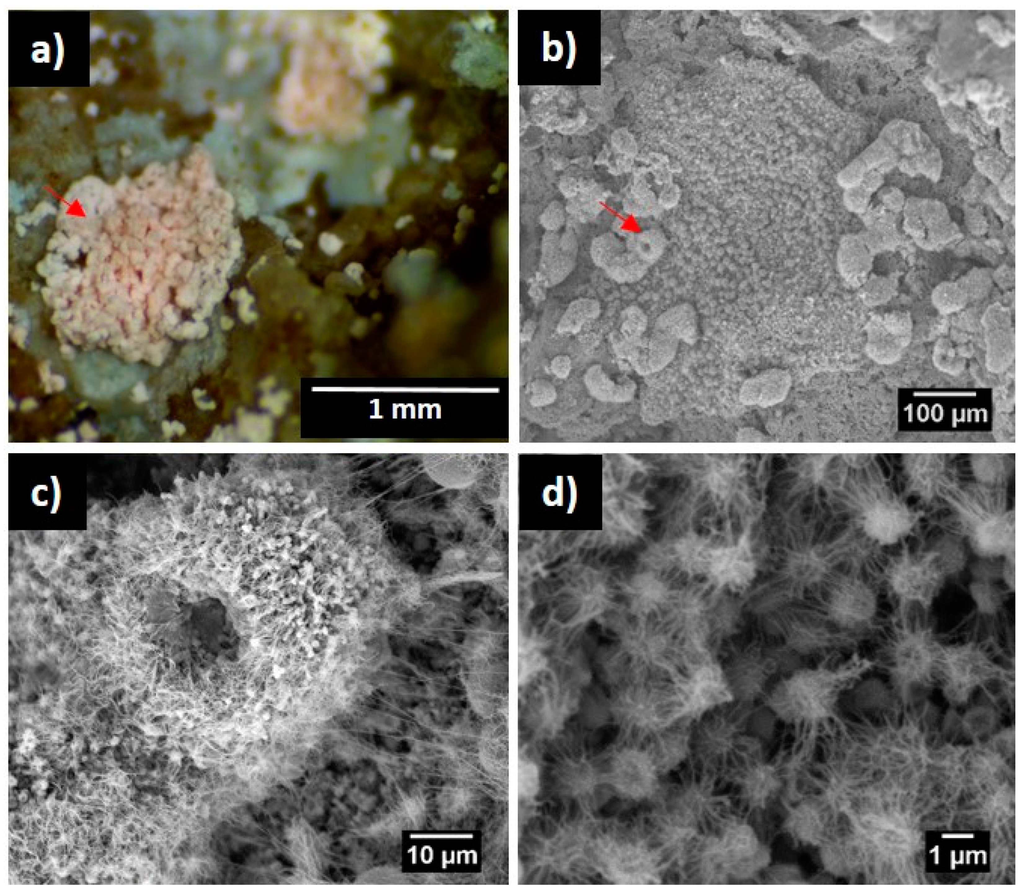 Applsci 13 09644 g001