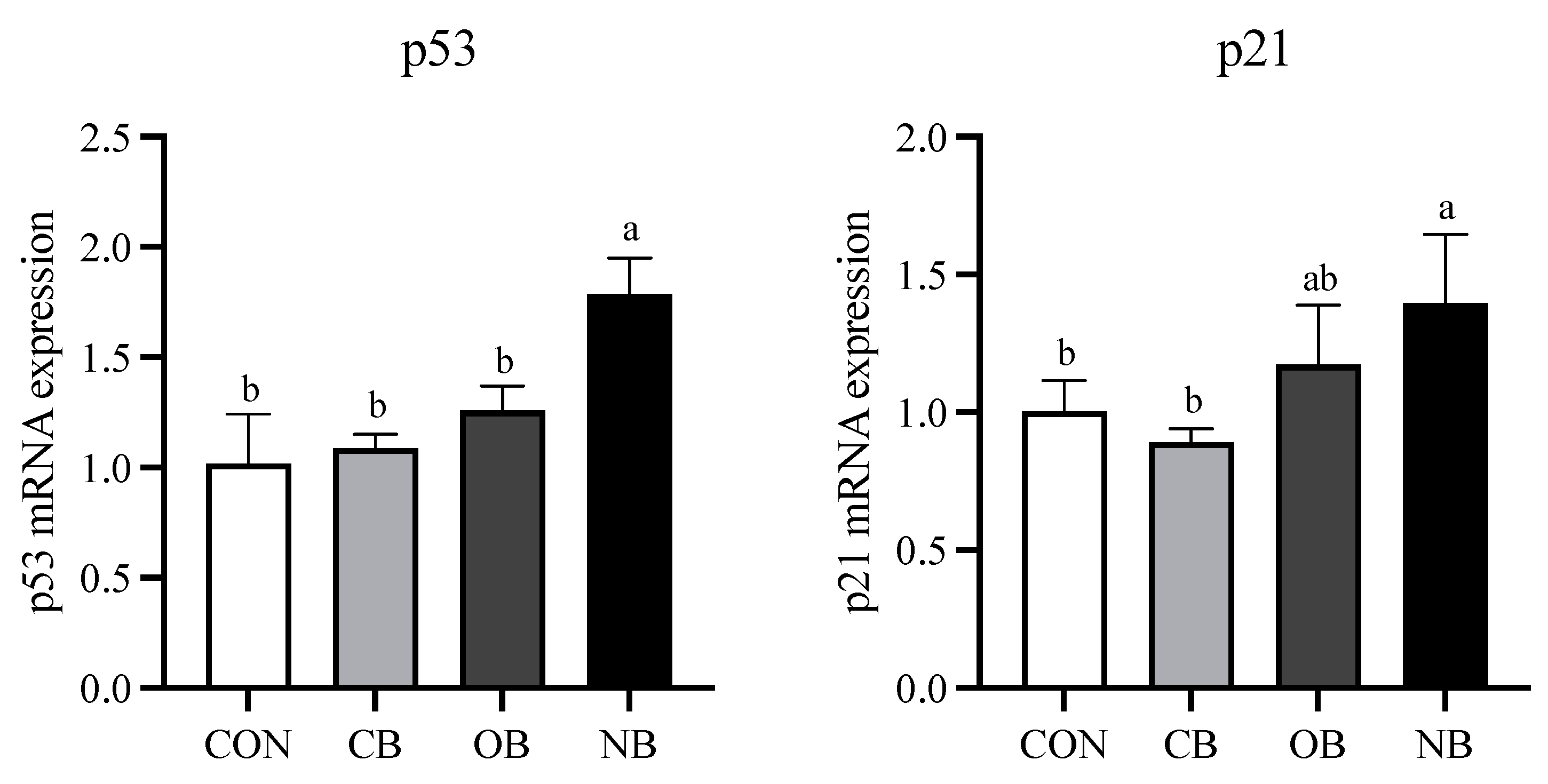 Applsci 13 09684 g003