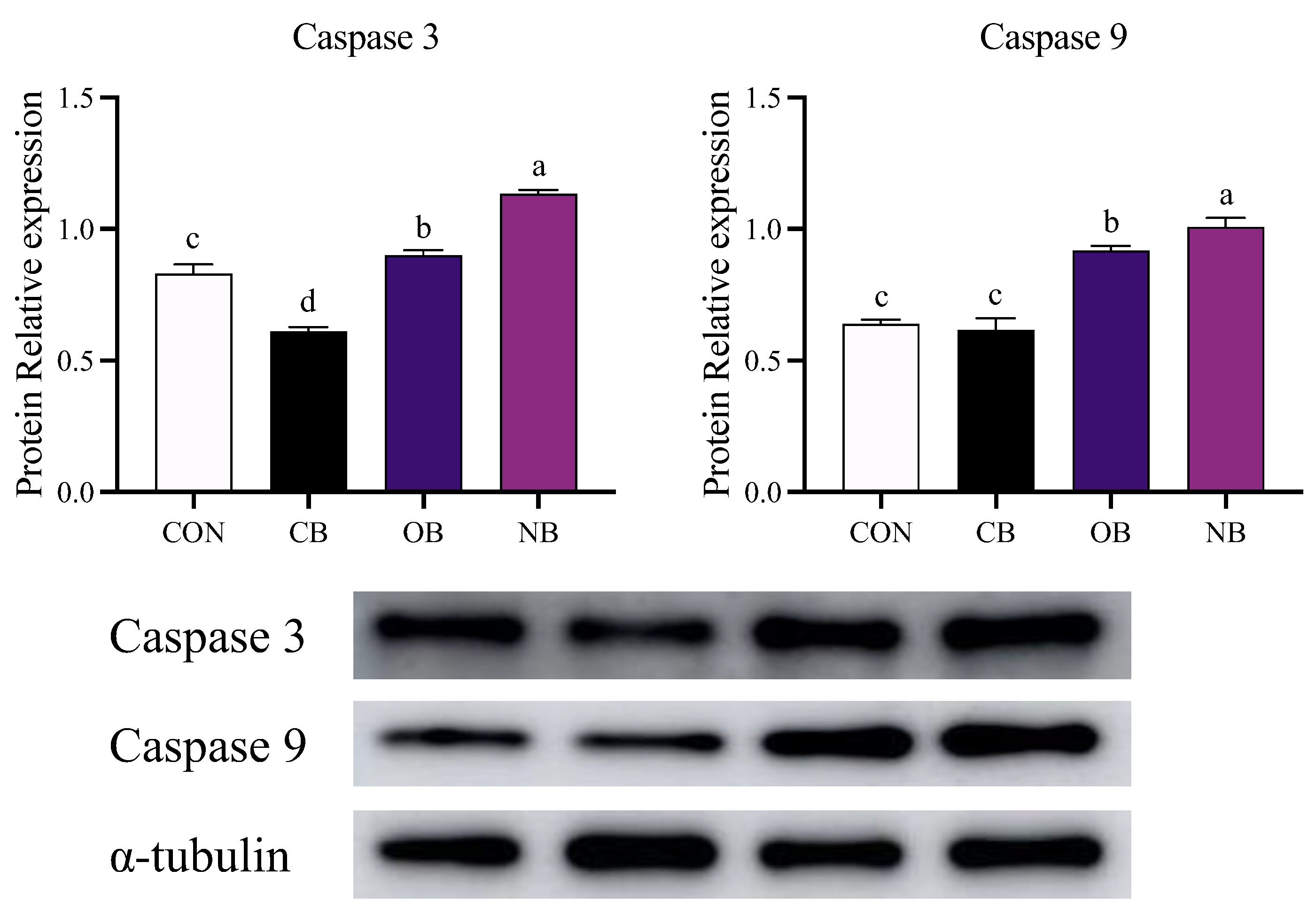 Applsci 13 09684 g005