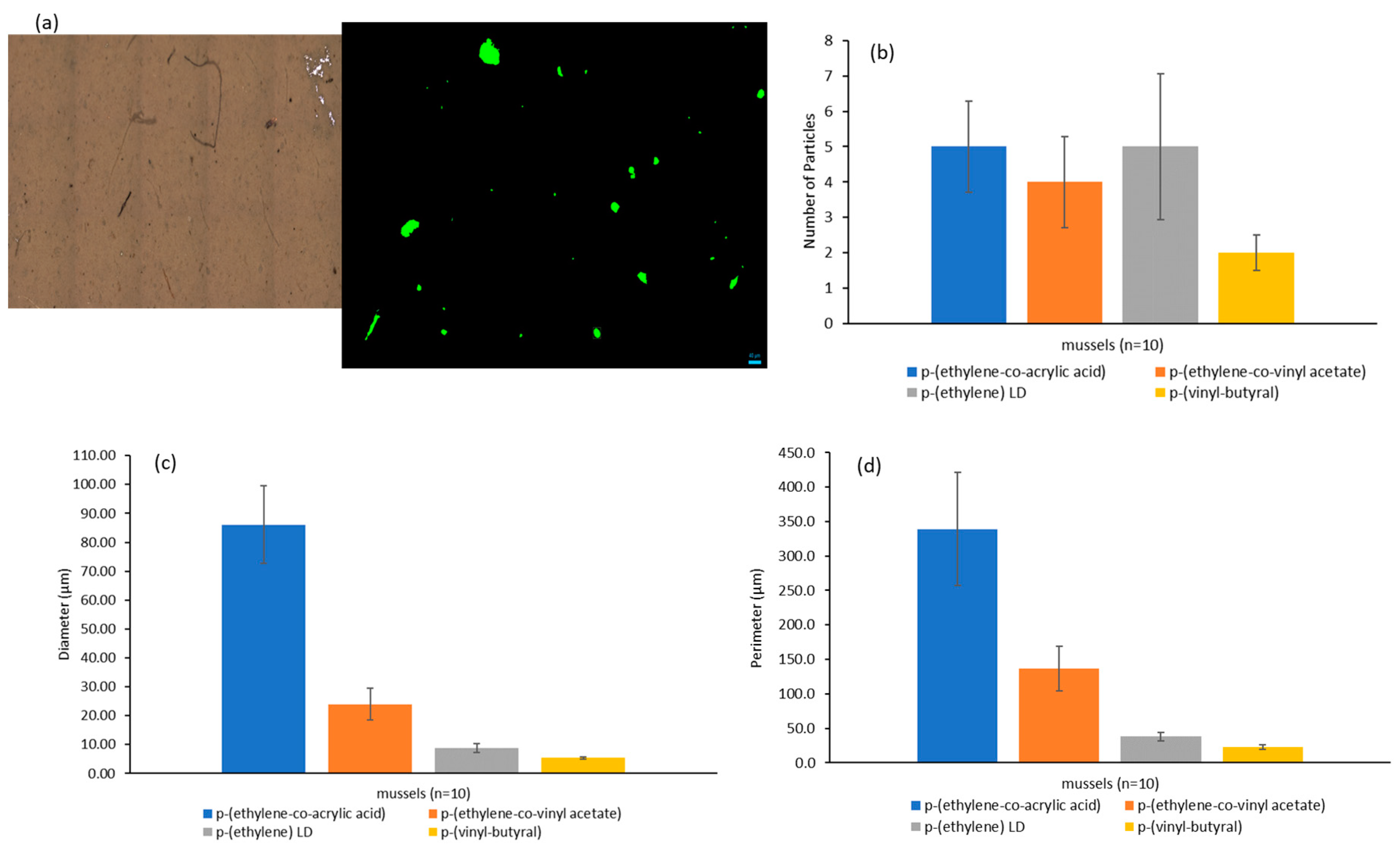 Applsci 13 09705 g004