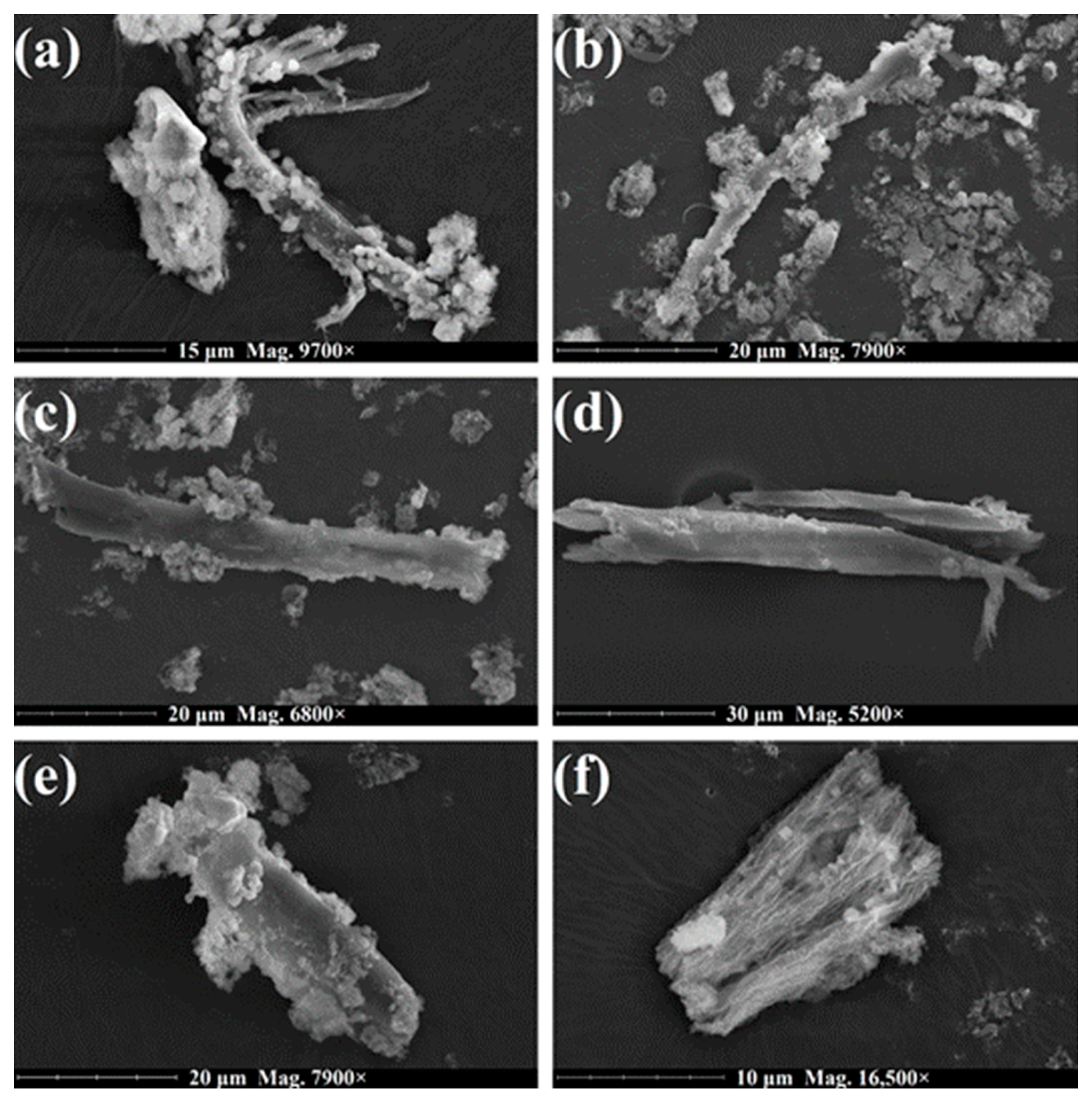 Applsci 13 09705 g009