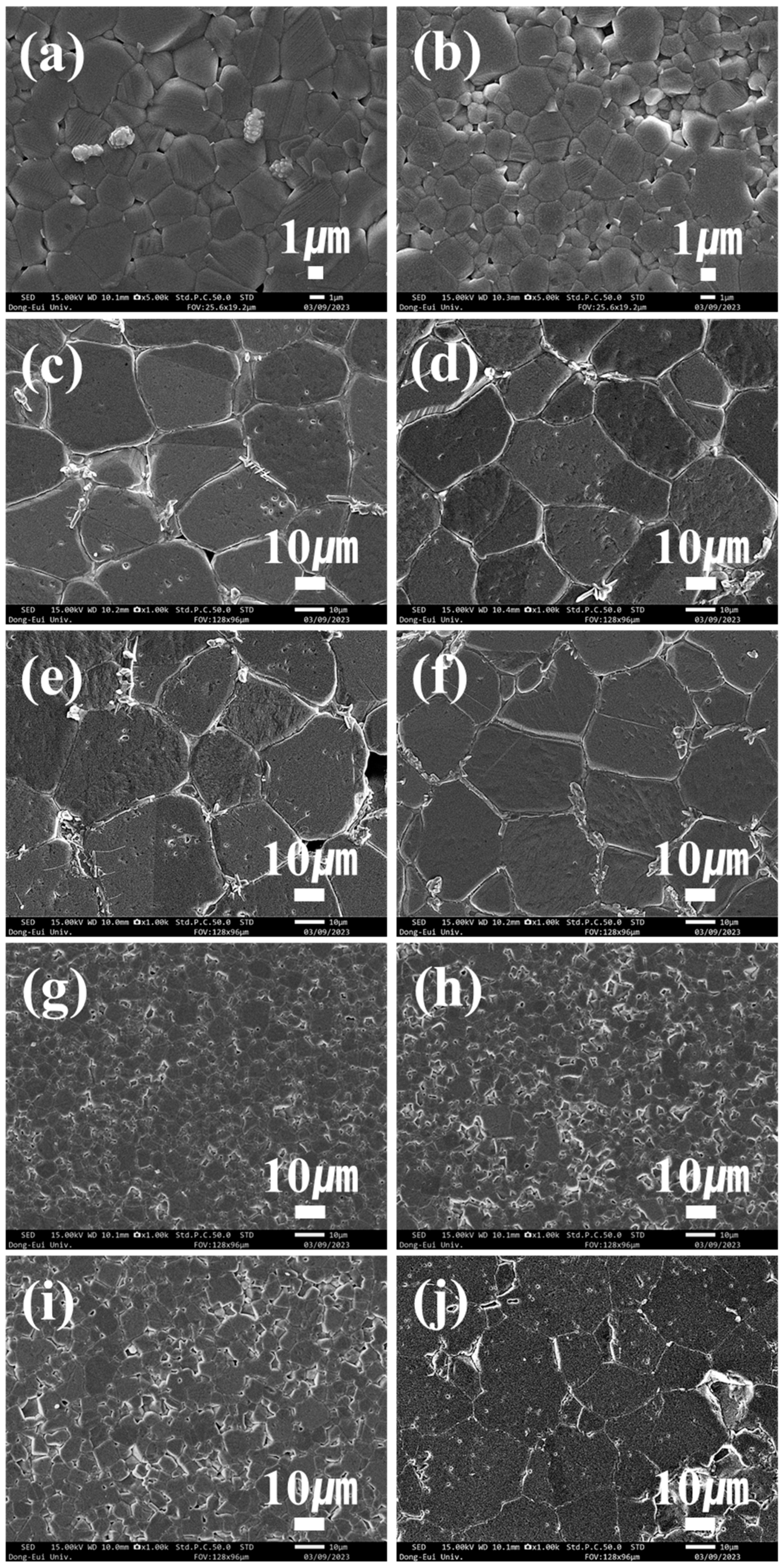 Applsci 13 09720 g009