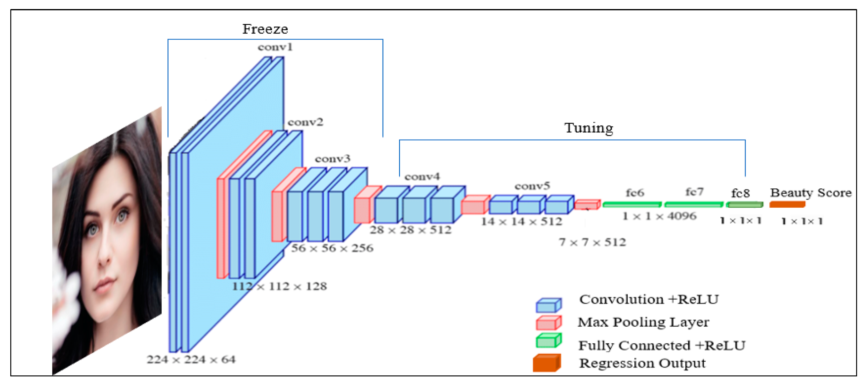 Applsci 13 09728 g003