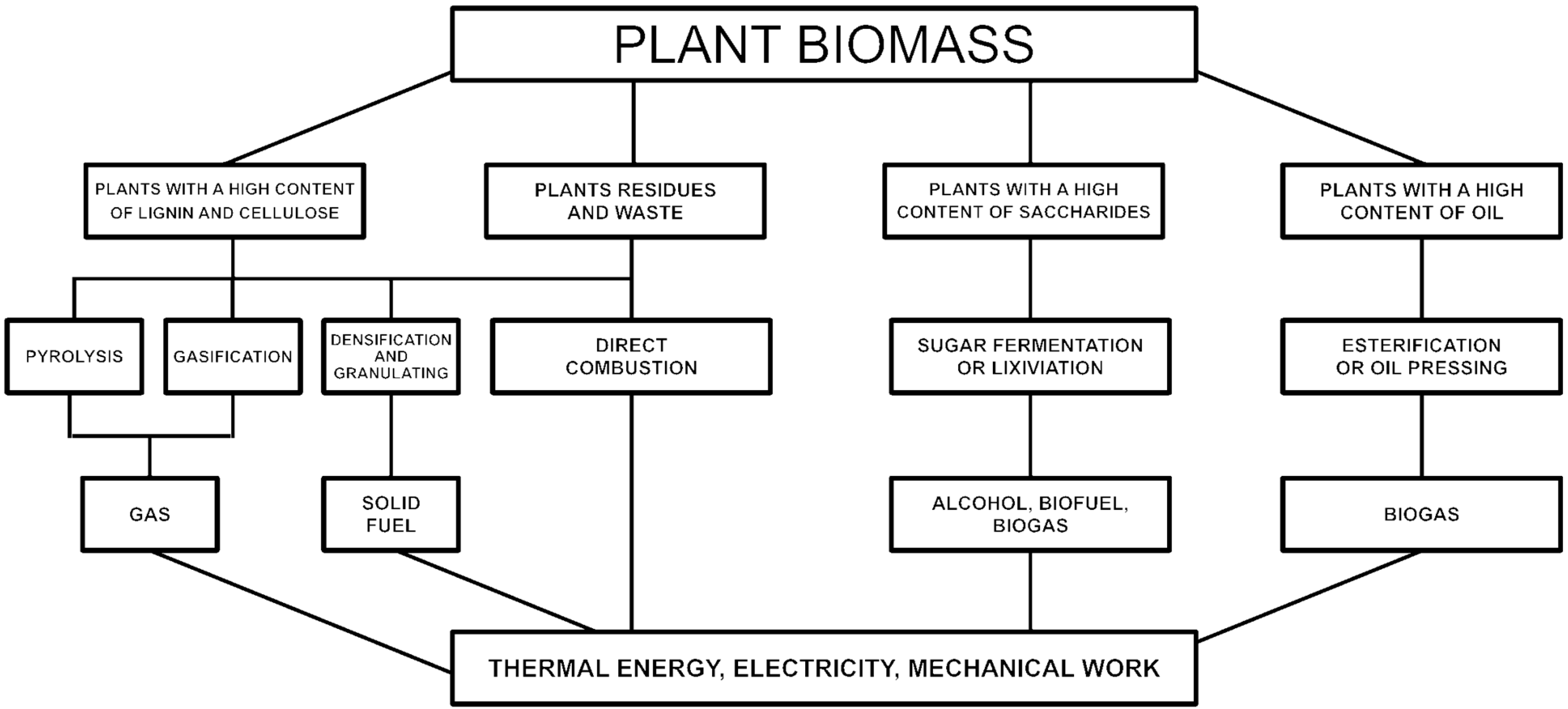 Applsci 13 09733 g006