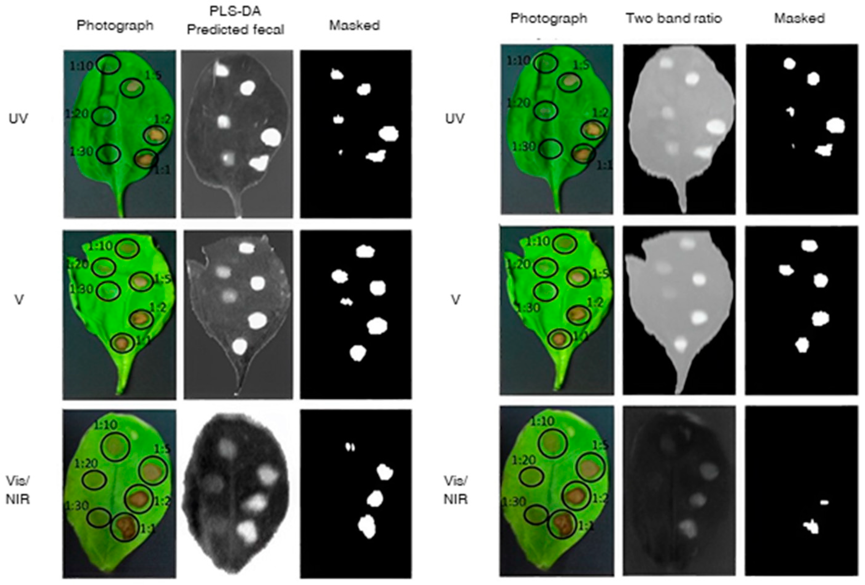 Applsci 13 09740 g008