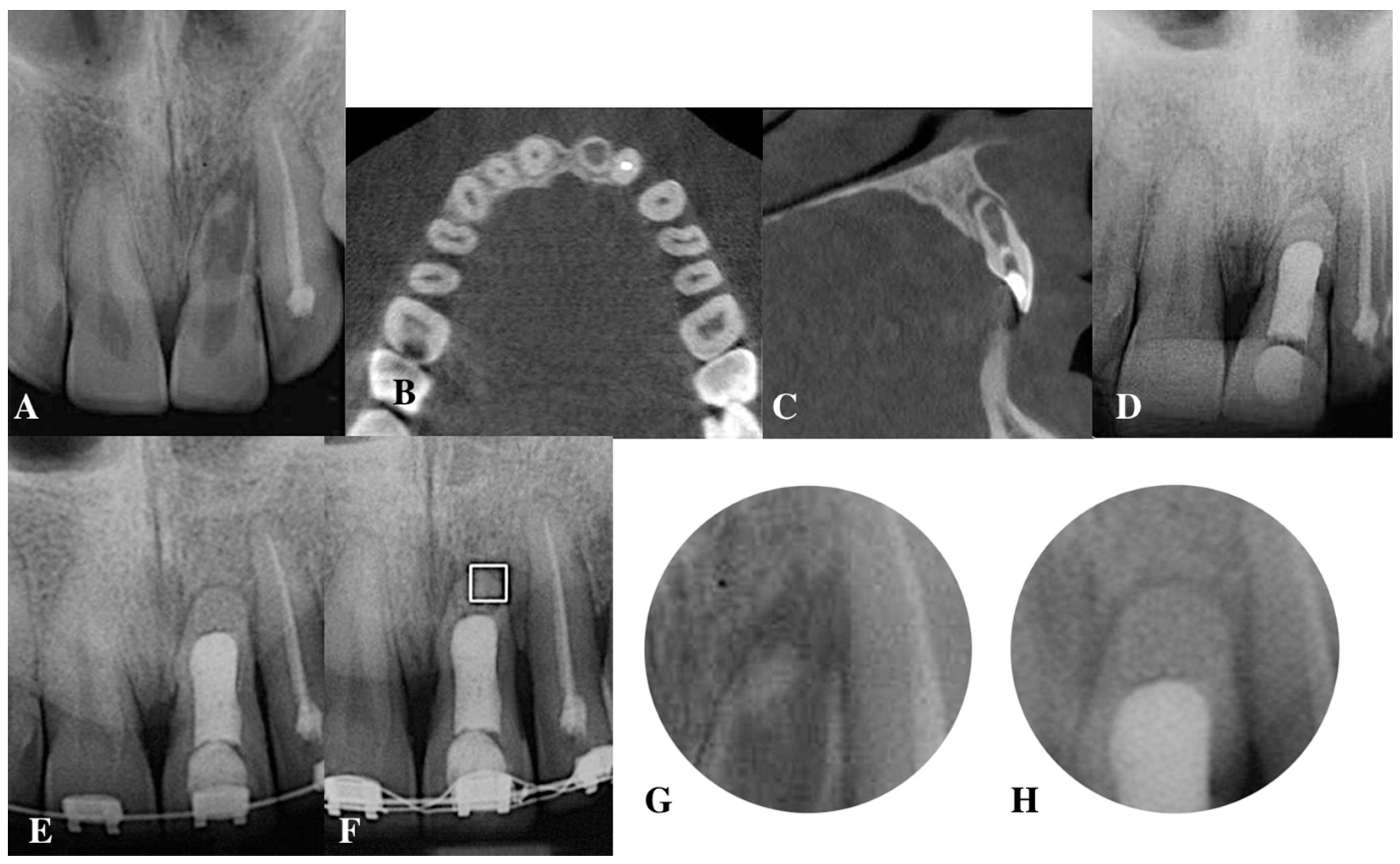 Applsci 13 09755 g001 Applsci 13 09755 g001