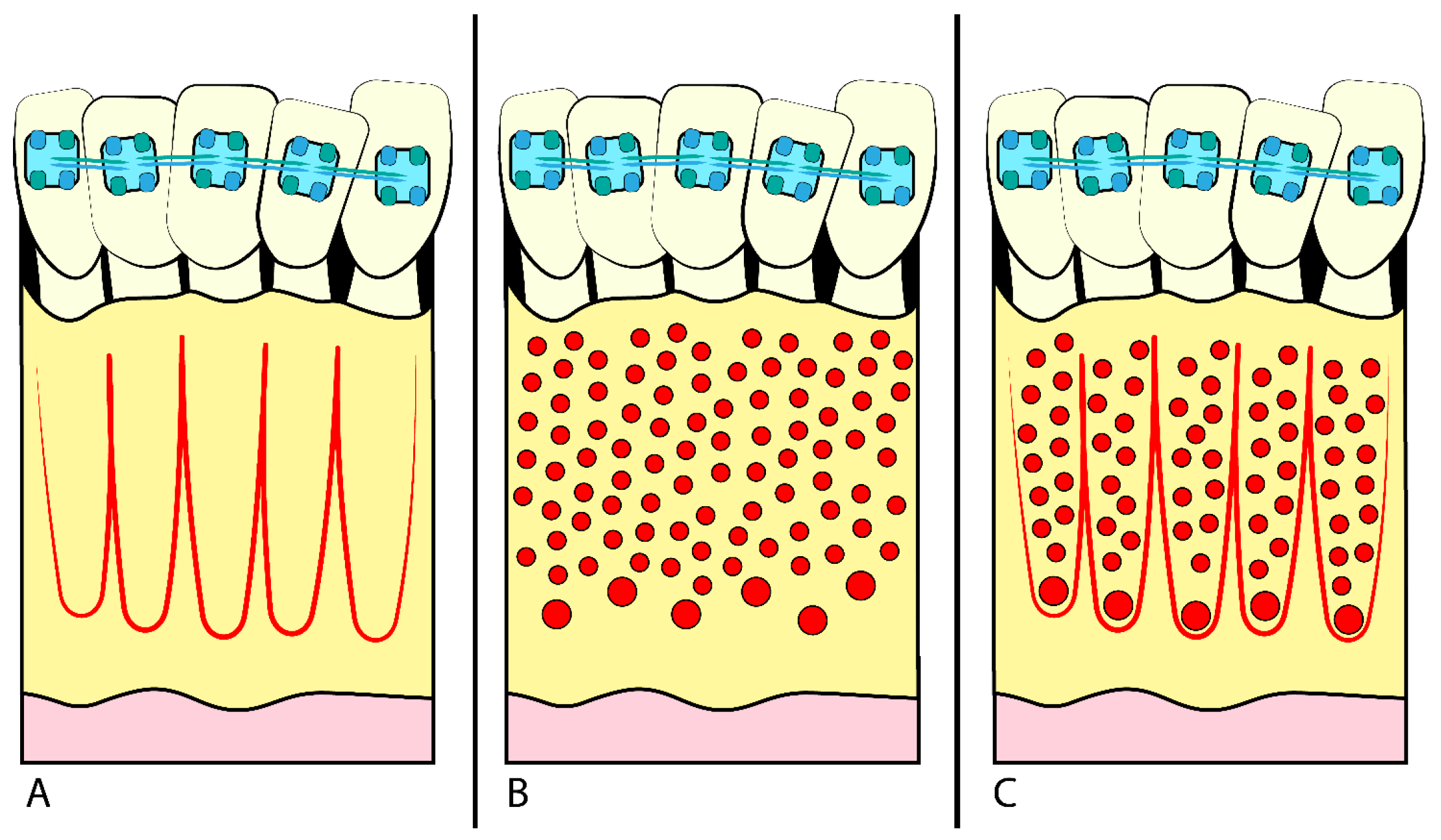 Applsci 13 09759 g001