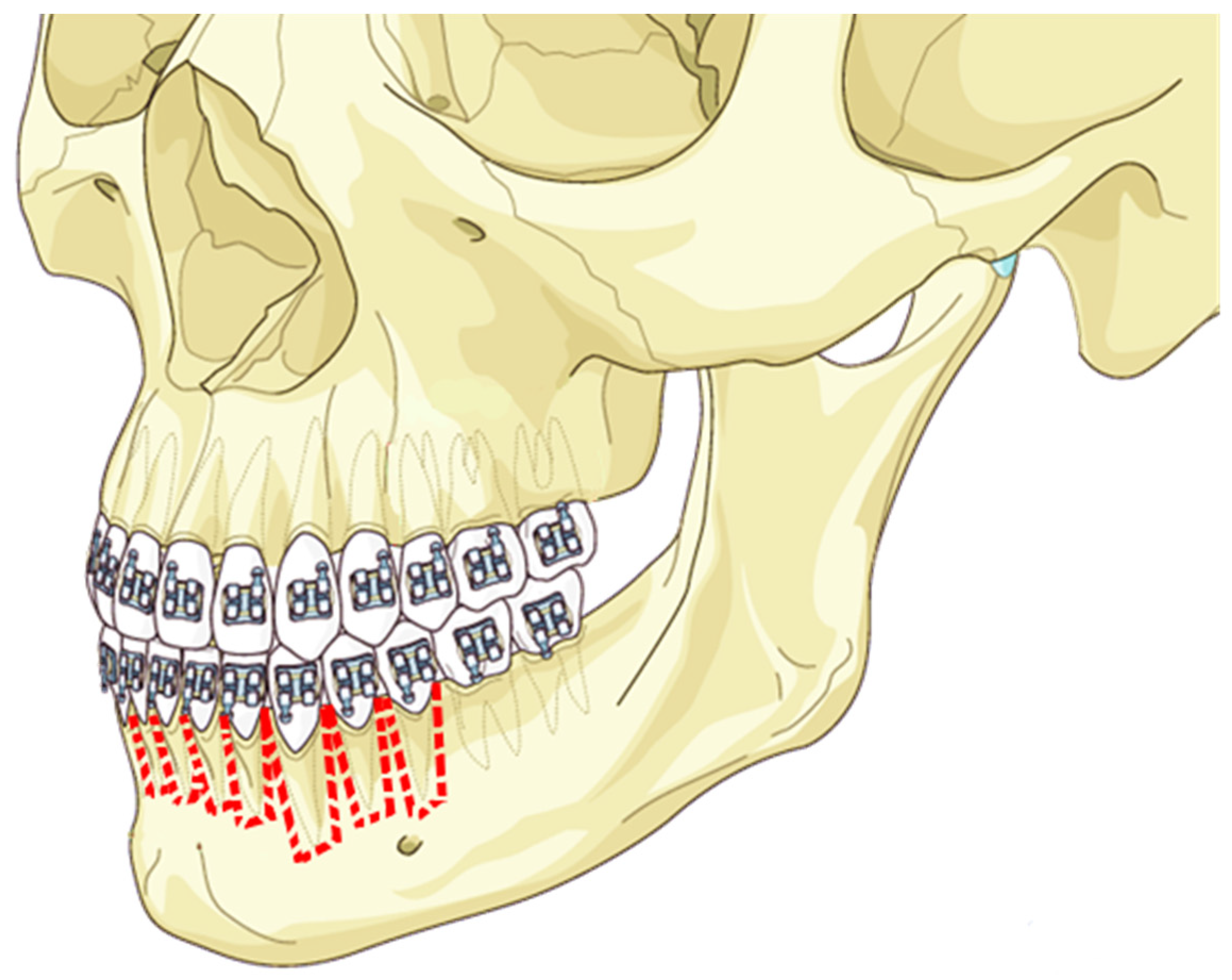 Applsci 13 09759 g003