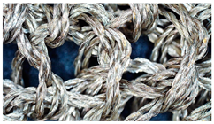 Applsci 13 09777 i004