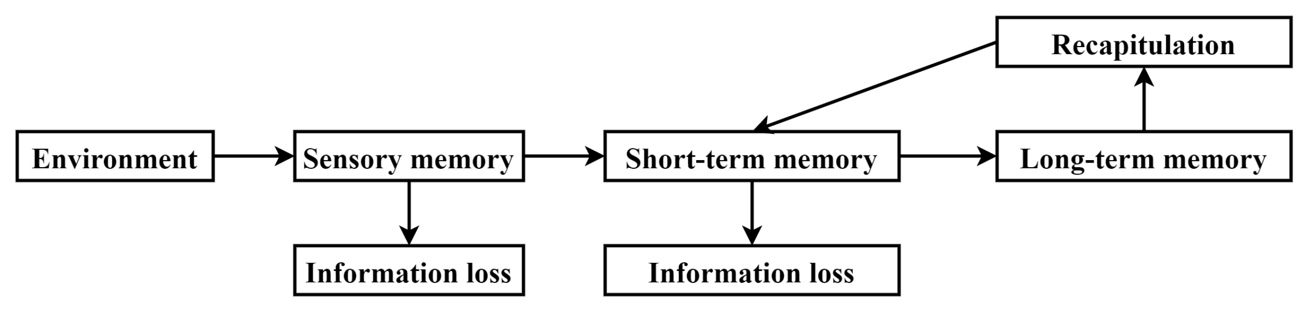 Applsci 13 09783 g002