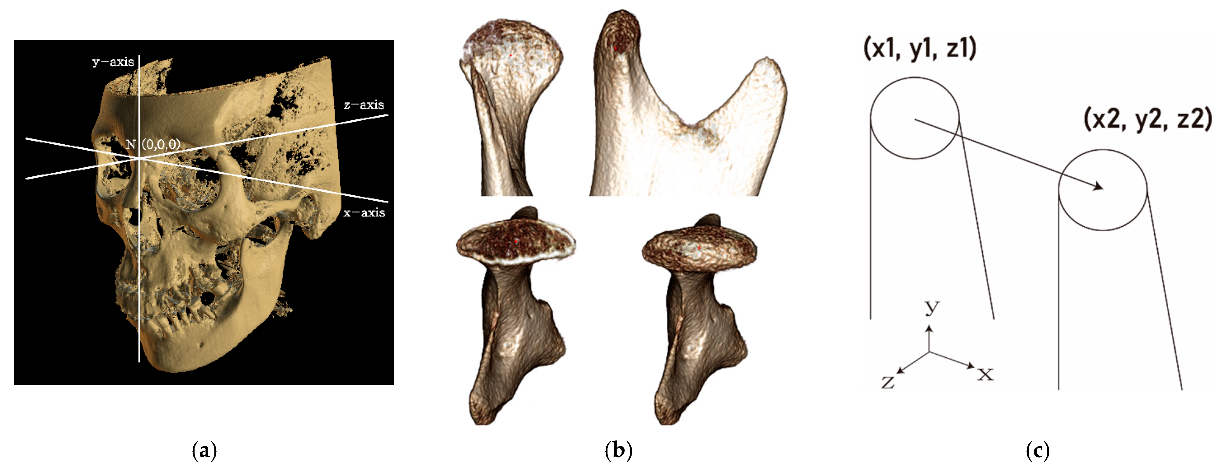 Applsci 13 09796 g001