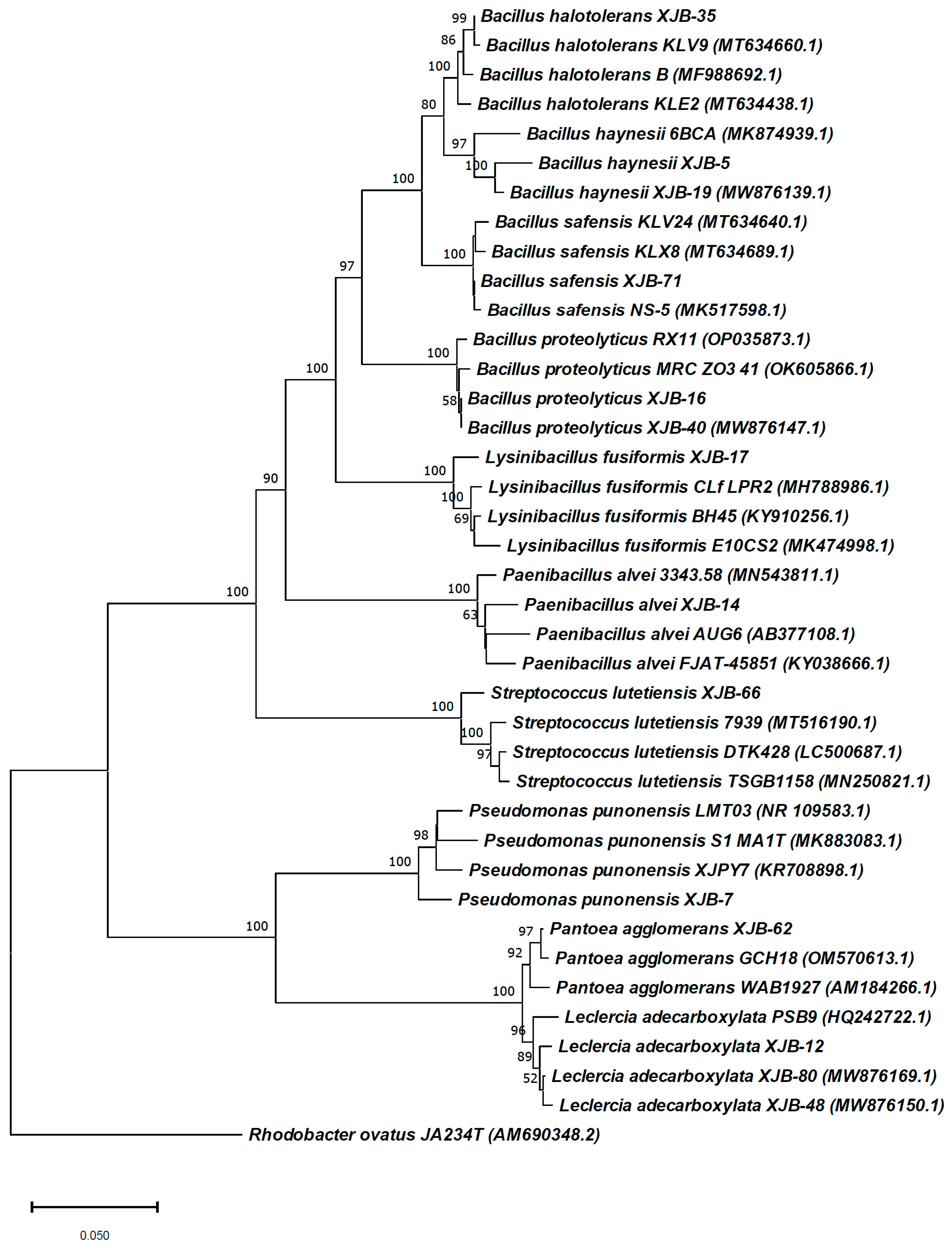 Applsci 13 09797 g002