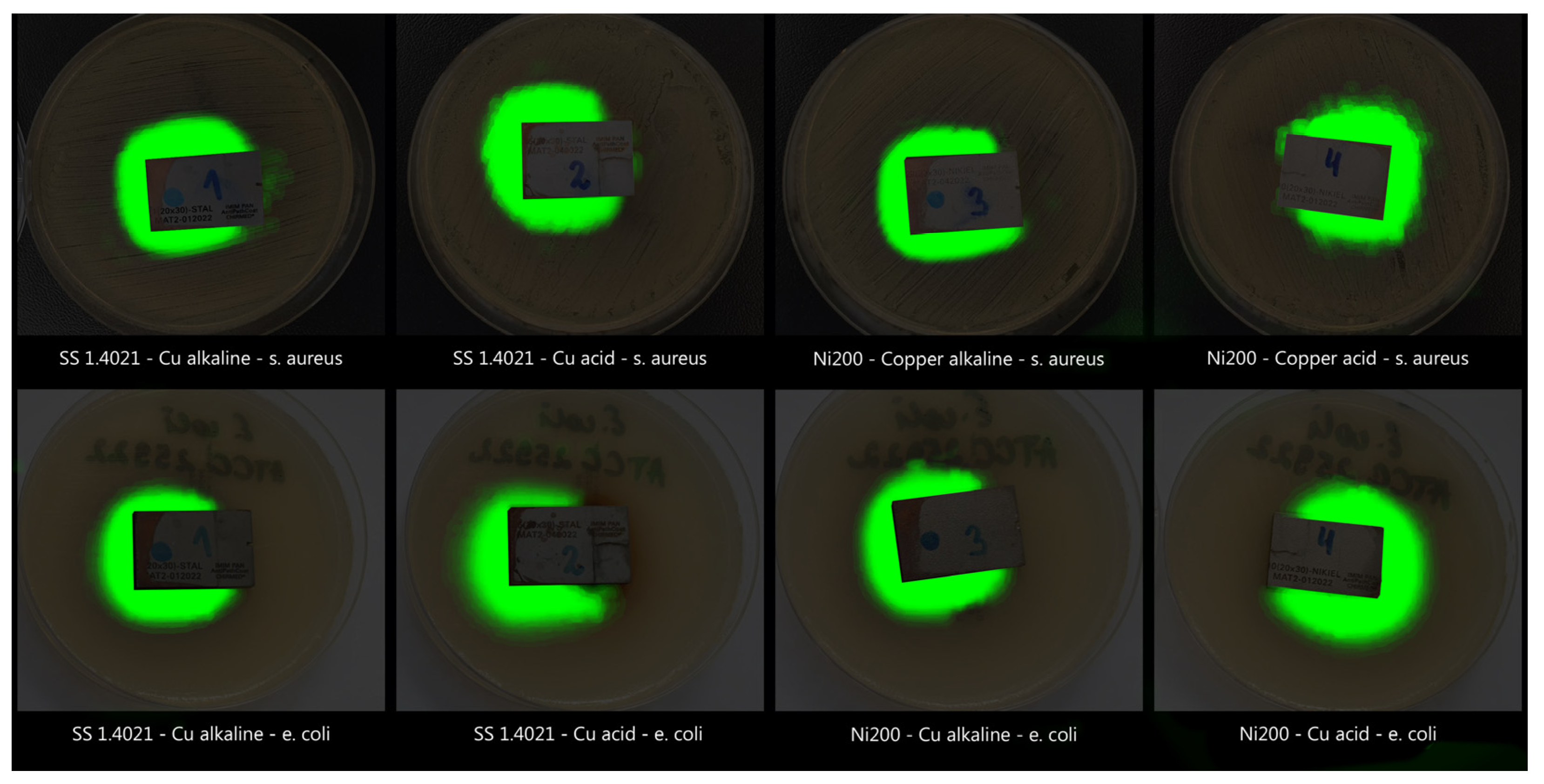 Applsci 13 09840 g006