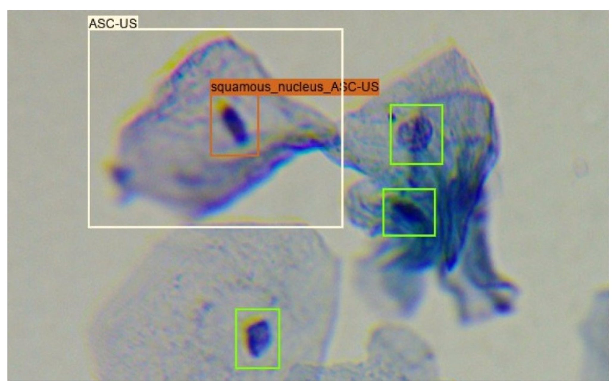 Applsci 13 09850 g002