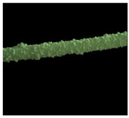 Applsci 13 09862 i011