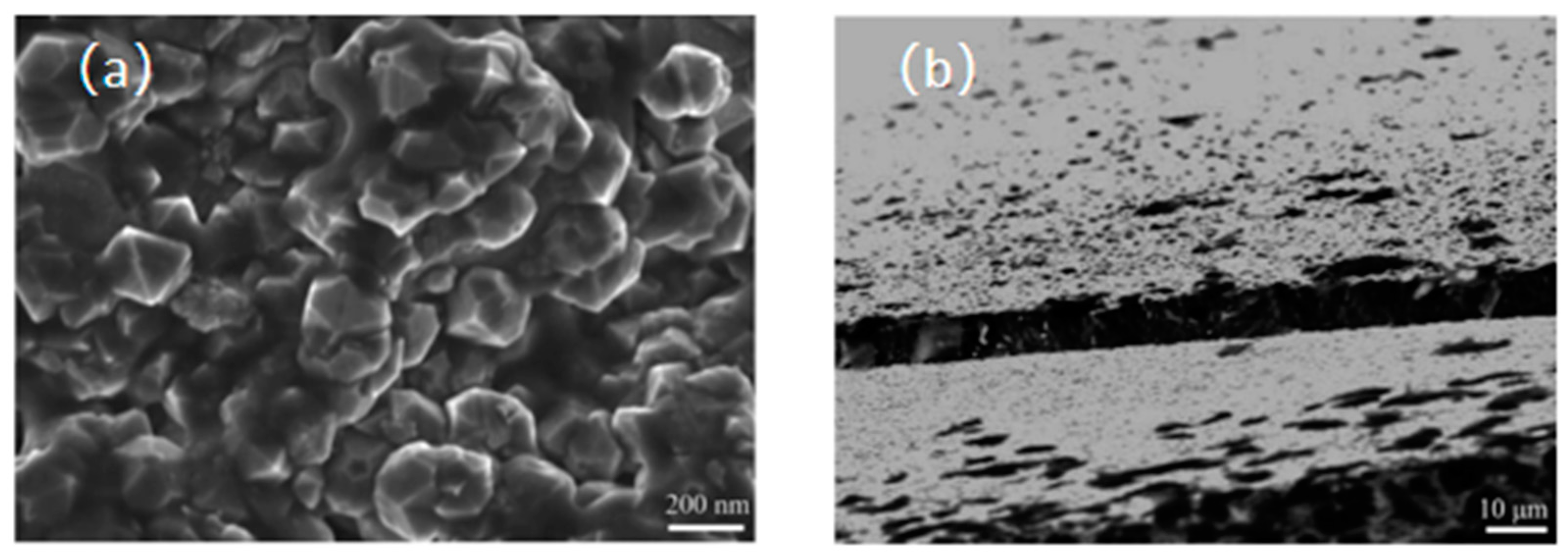 Applsci 13 09864 g001