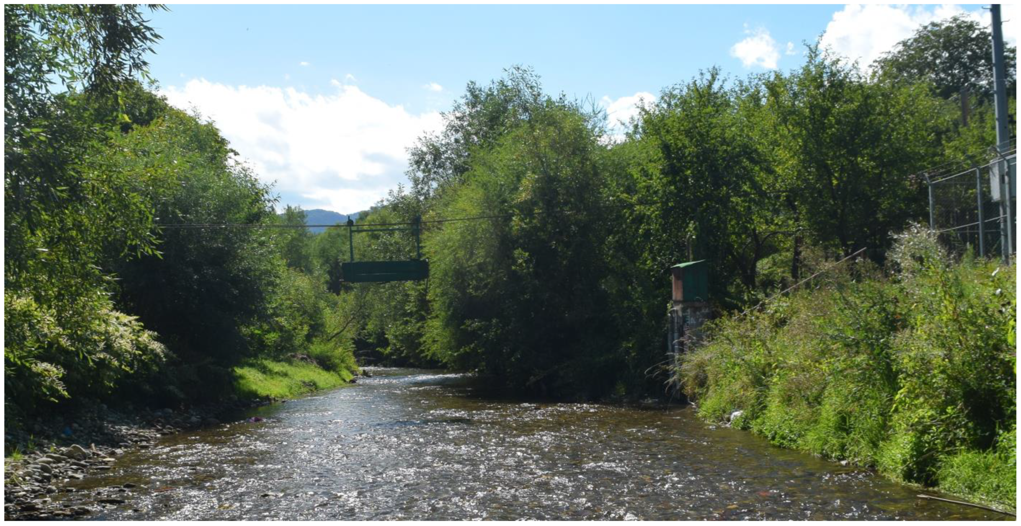 Applsci 13 09869 g004