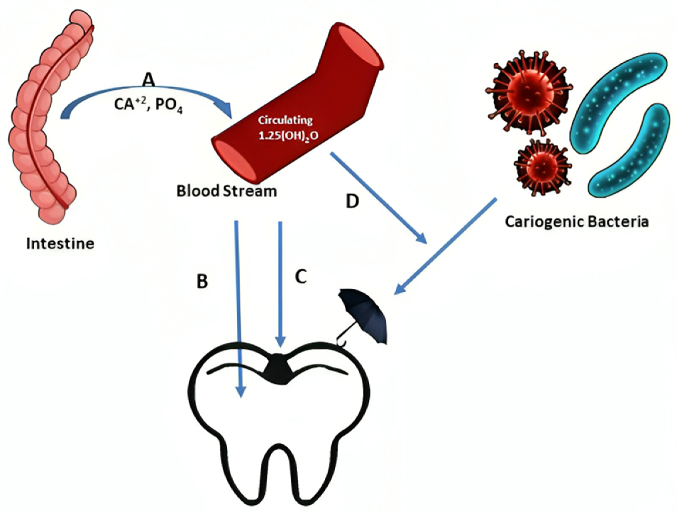 Applsci 13 09883 g006