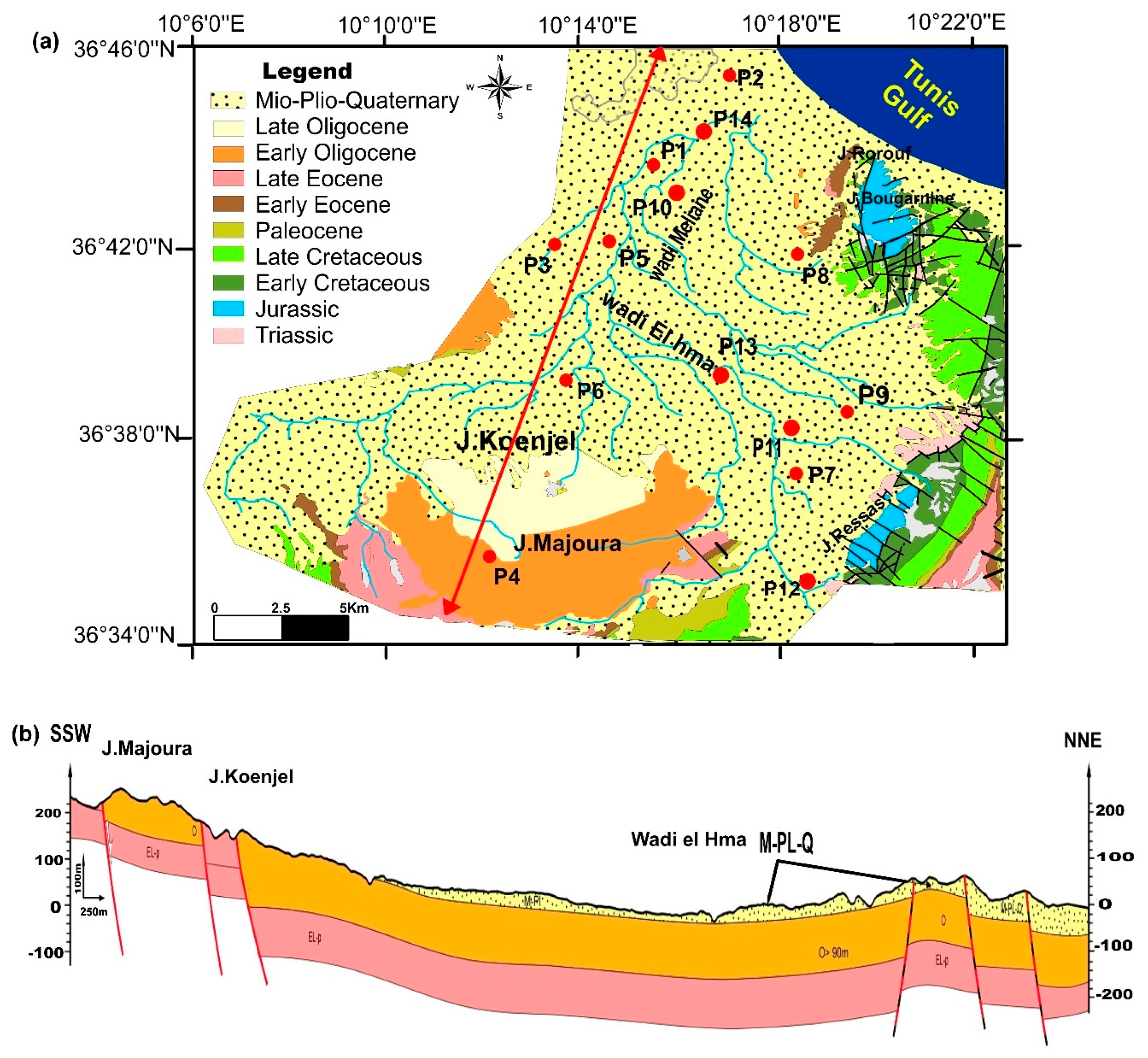 Applsci 13 09887 g001