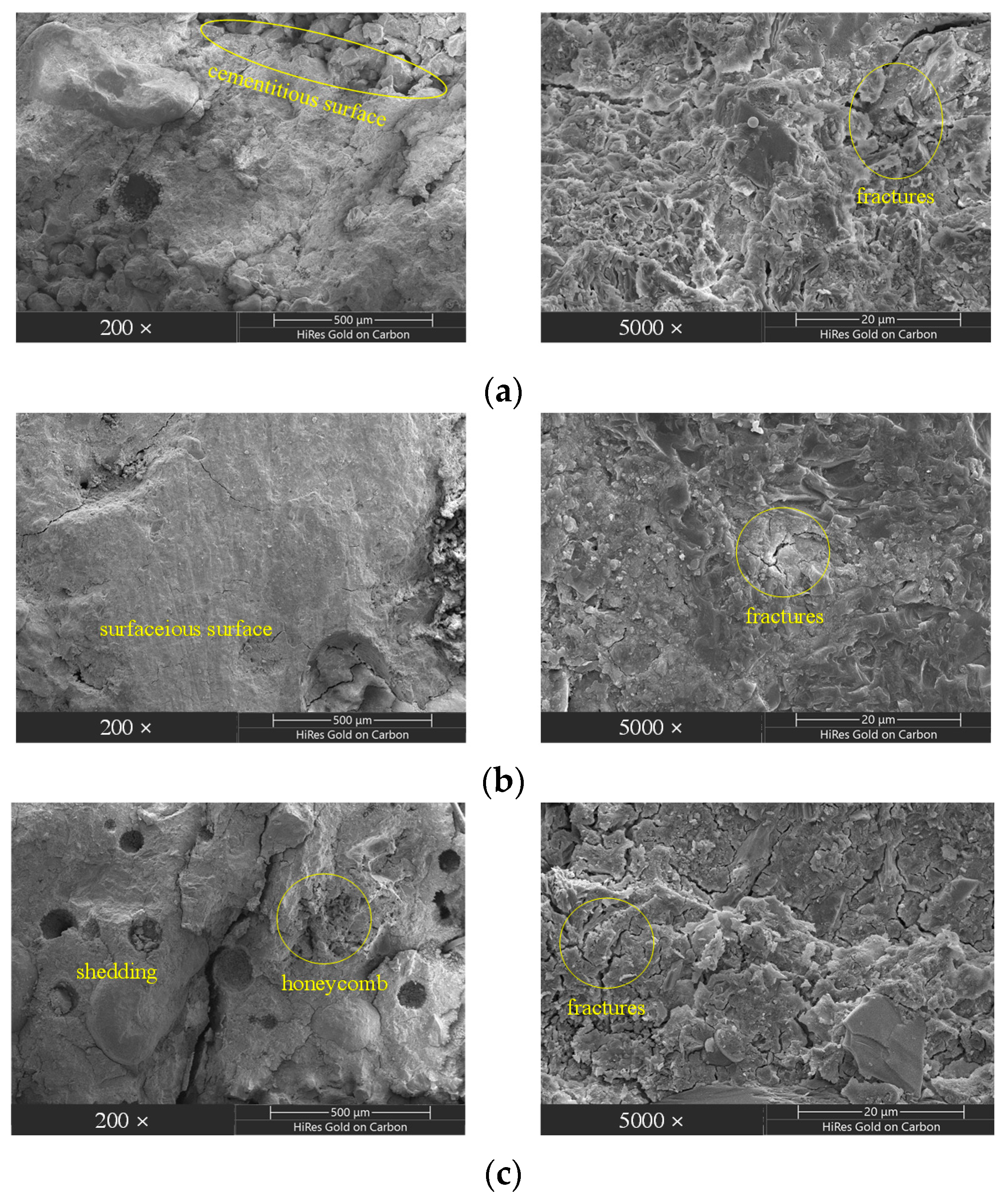 Applsci 13 09897 g012