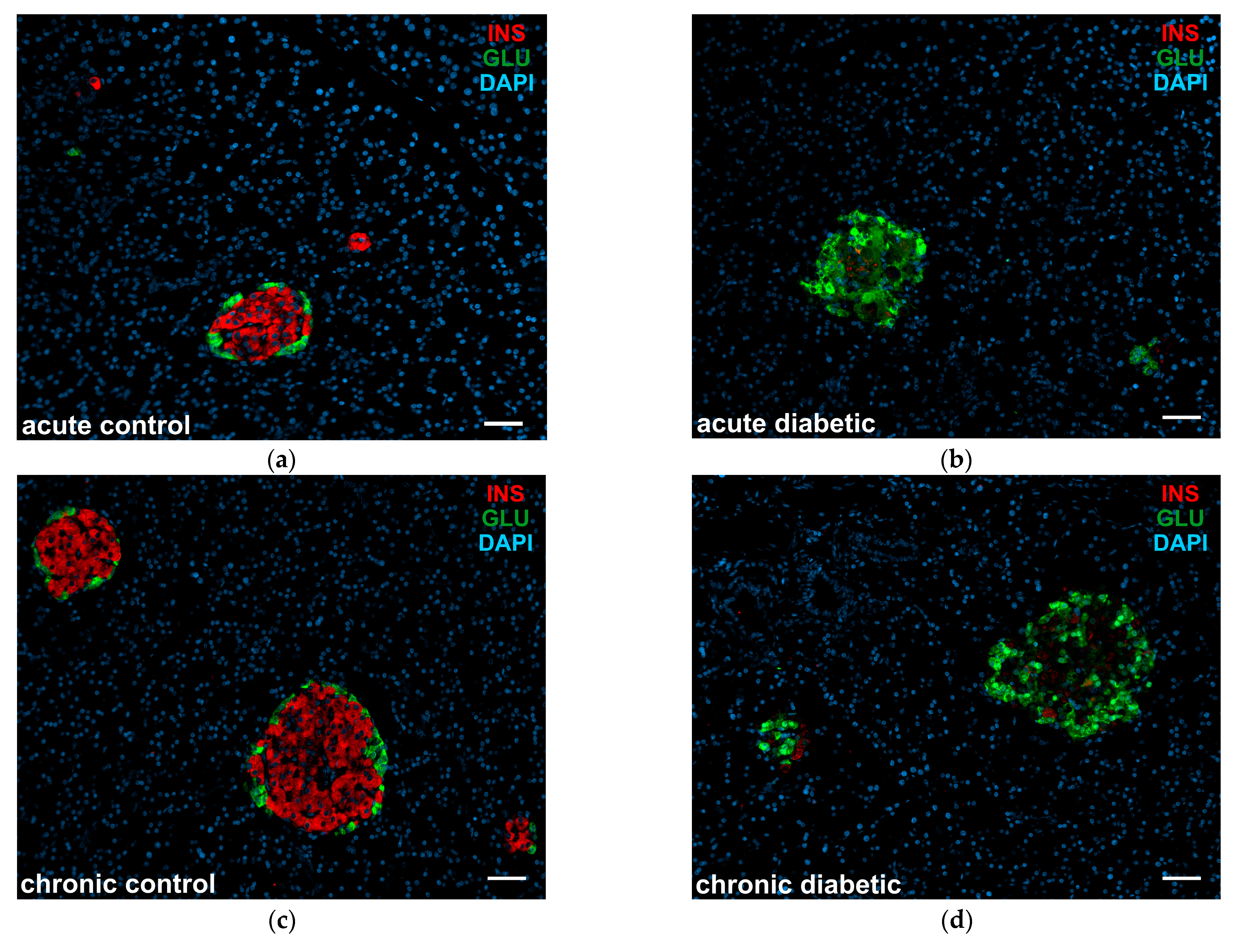 Applsci 13 09920 g001a Applsci 13 09920 g001a