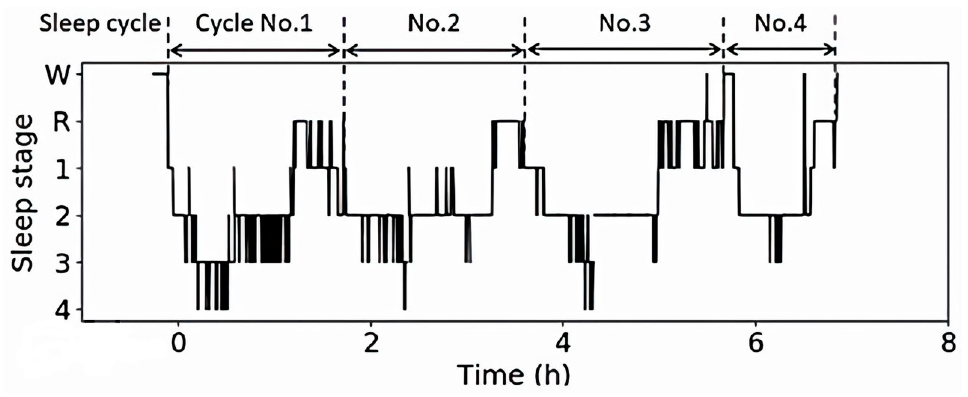Applsci 13 09921 g001
