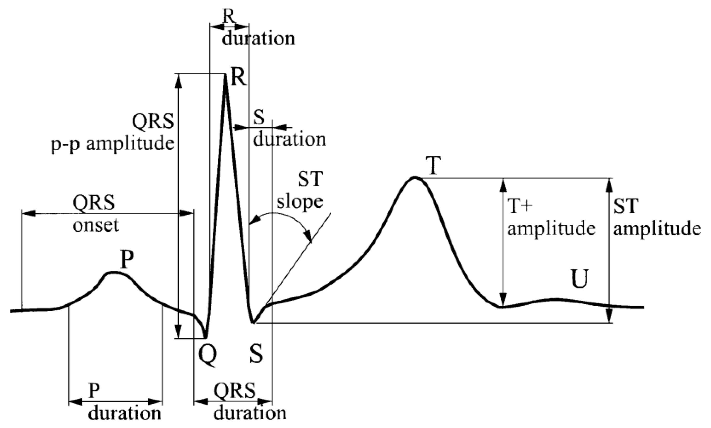 Applsci 13 09921 g002
