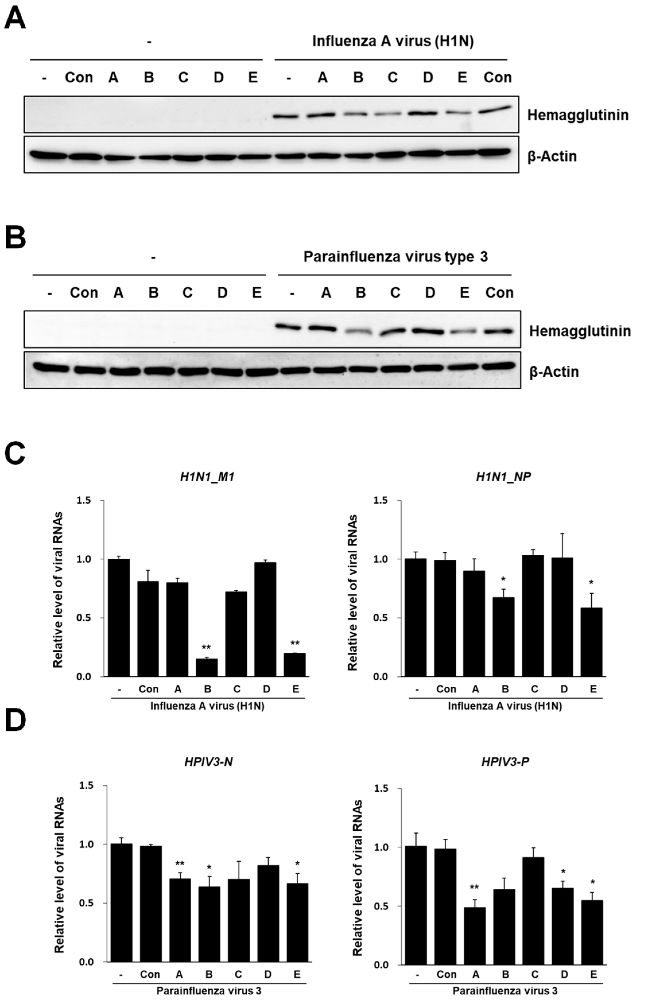 Applsci 13 09938 g004