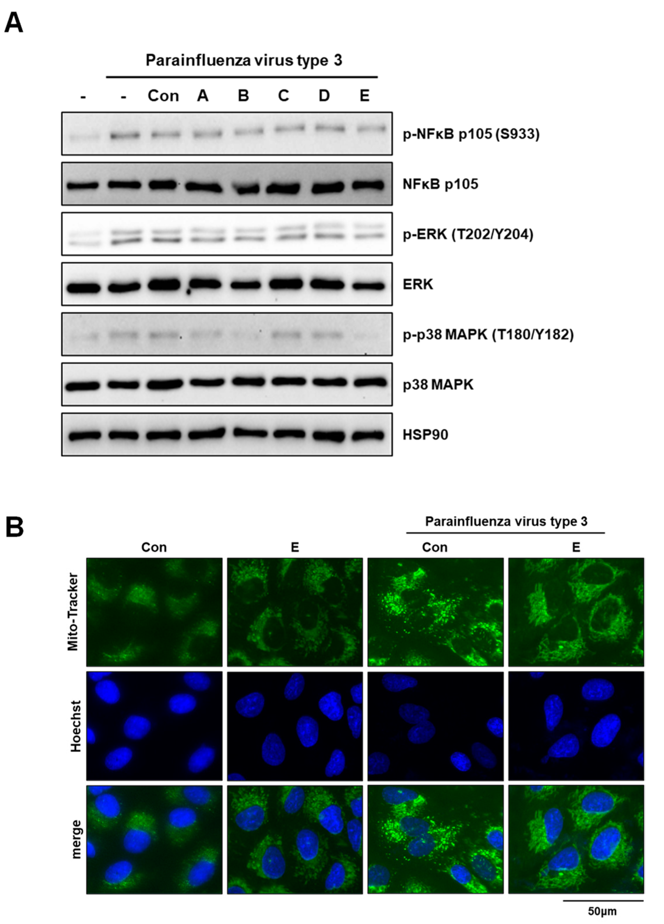Applsci 13 09938 g005