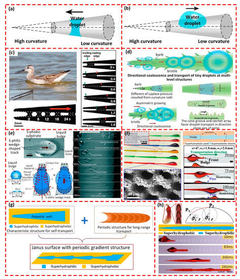 Applsci 13 09961 g004