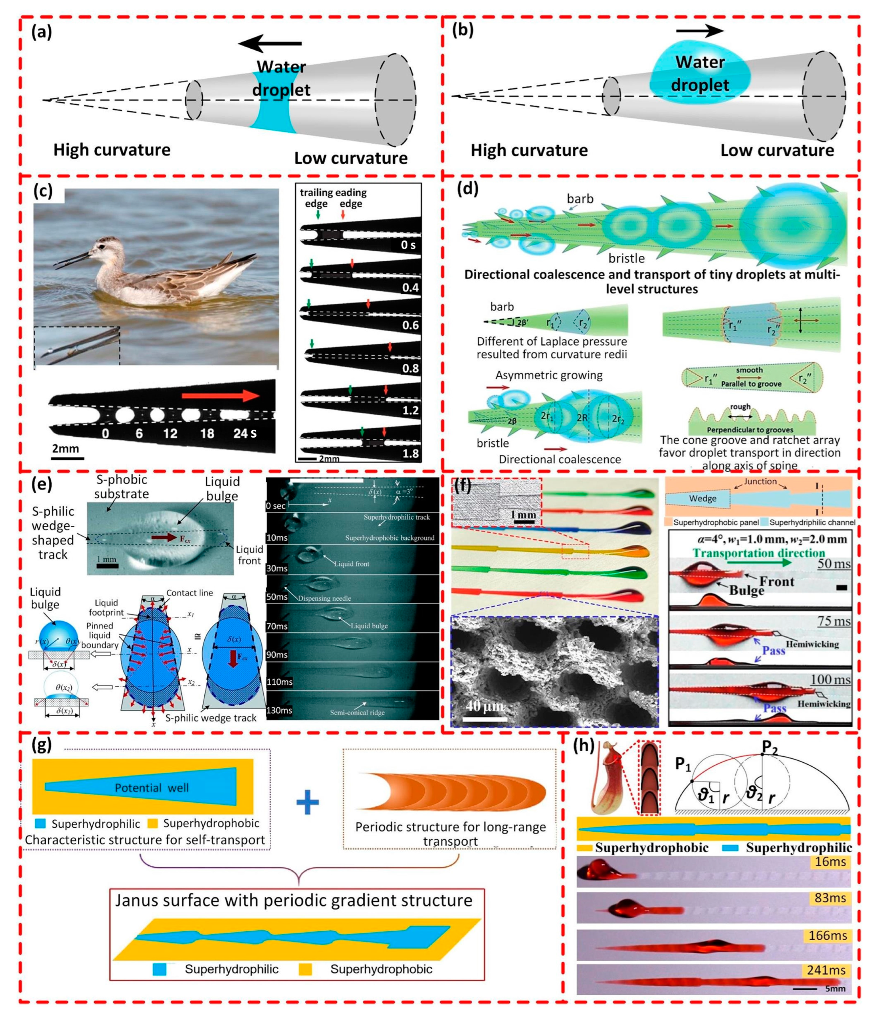 Applsci 13 09961 g004 Applsci 13 09961 g004