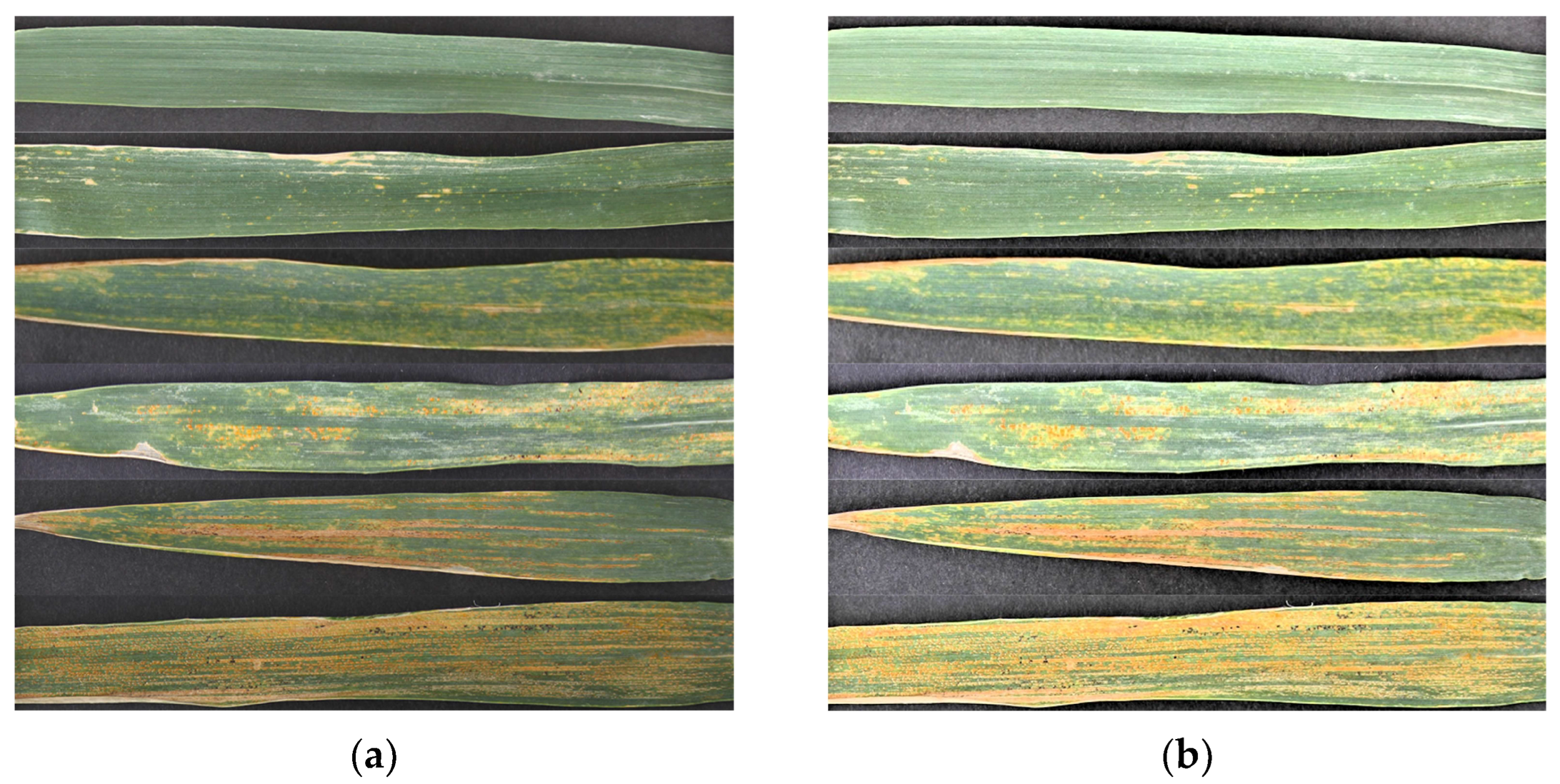 Applsci 13 09987 g002