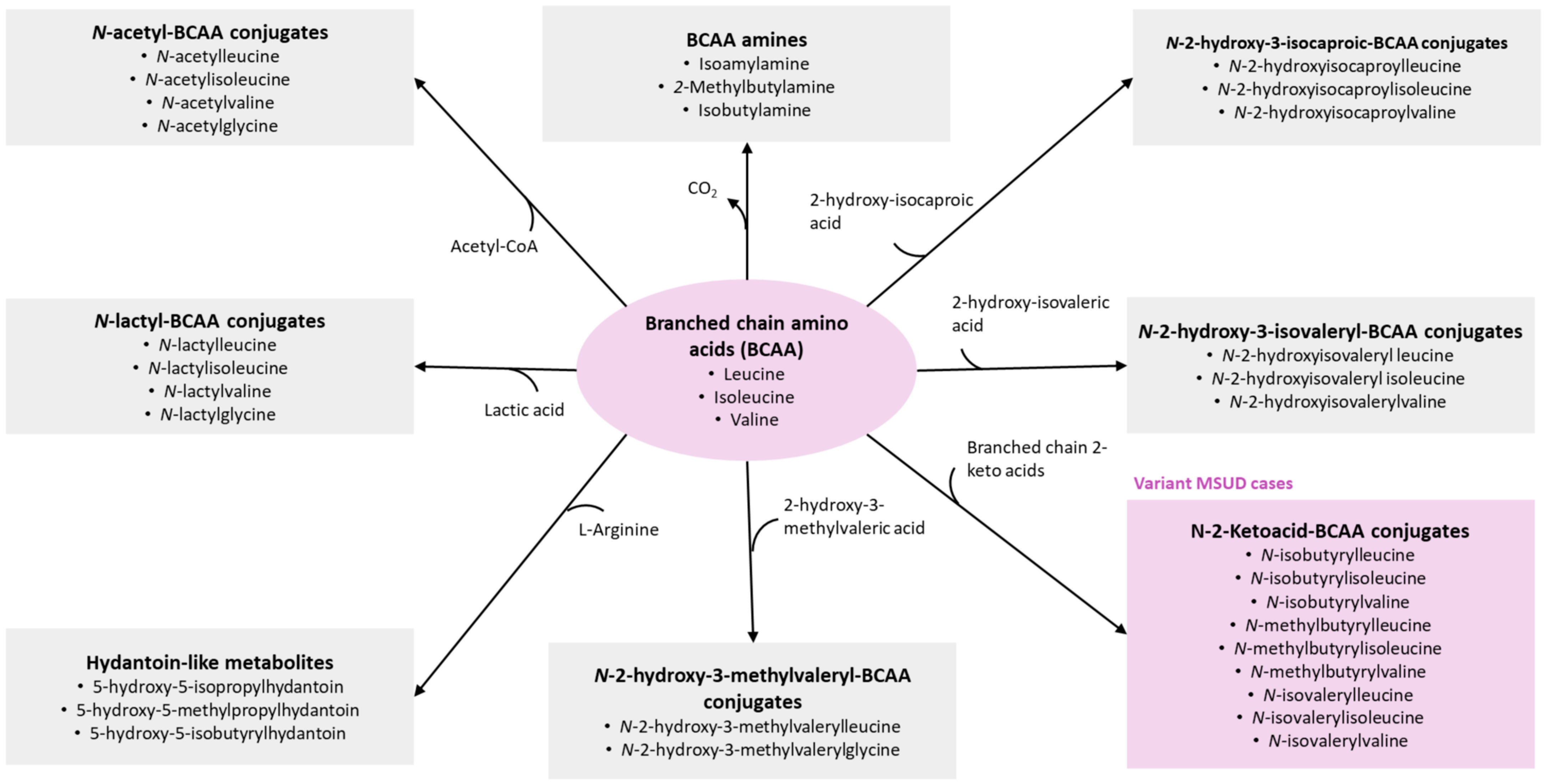 Applsci 13 10002 g001