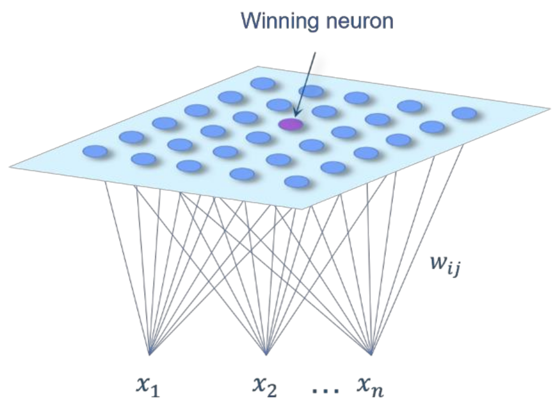 Applsci 13 10019 g001