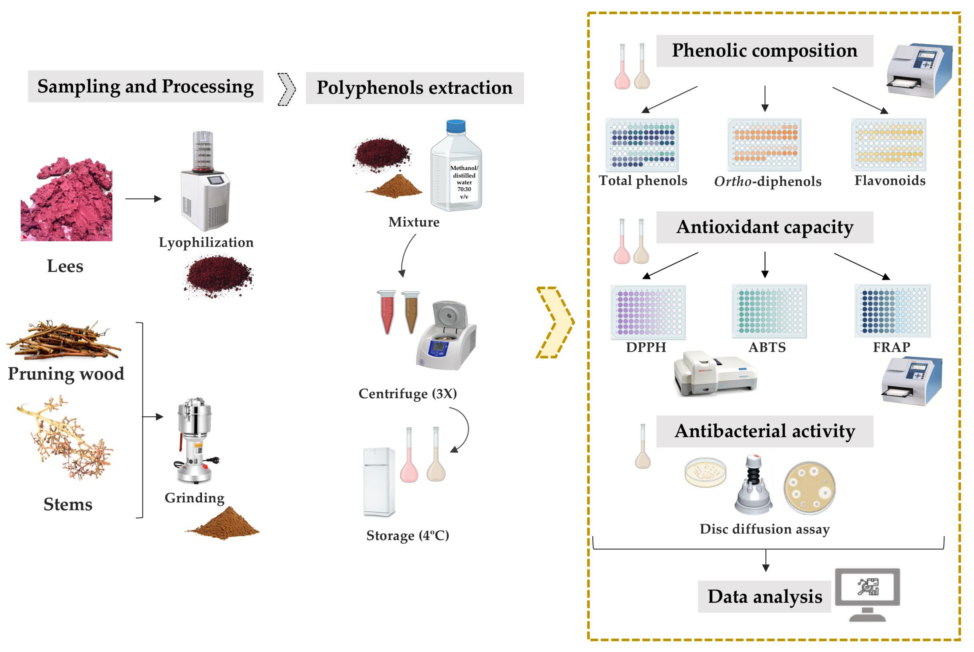 Applsci 13 10020 g001