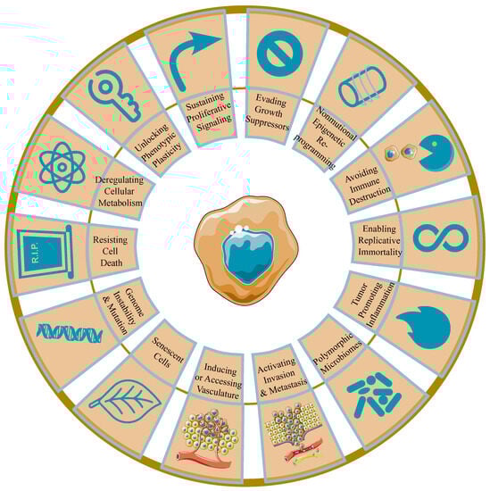 Applsci 13 10029 g001