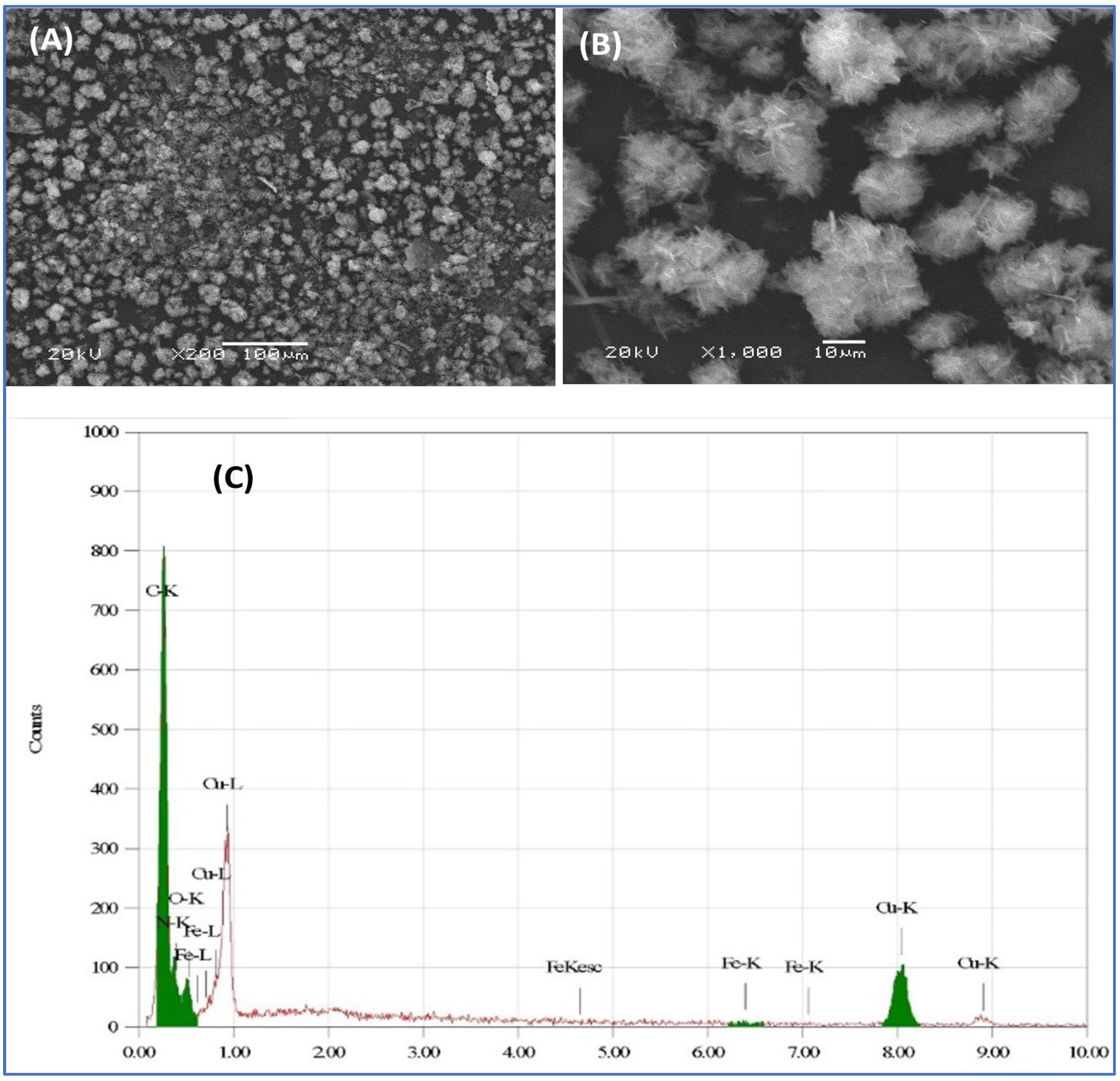 Applsci 13 10036 g001