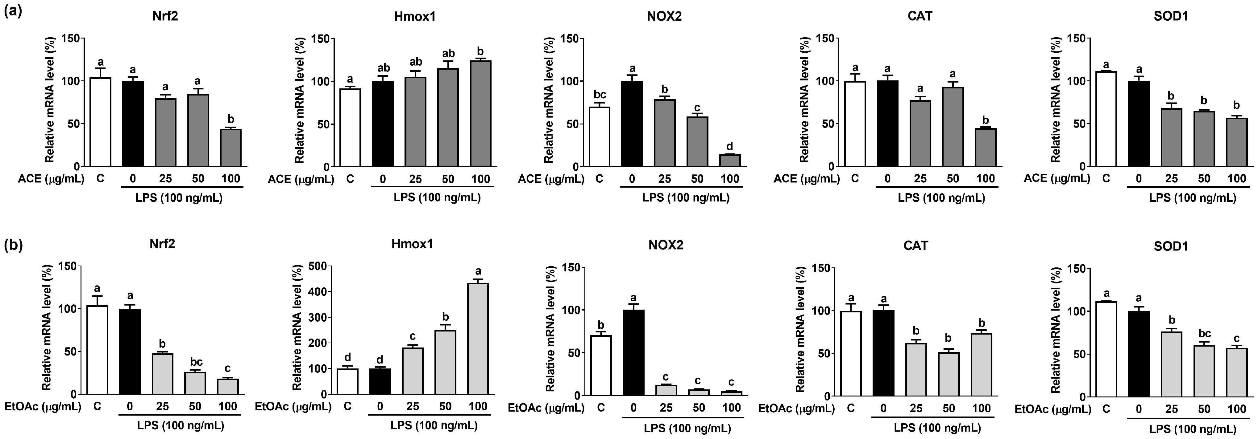Applsci 13 10048 g004