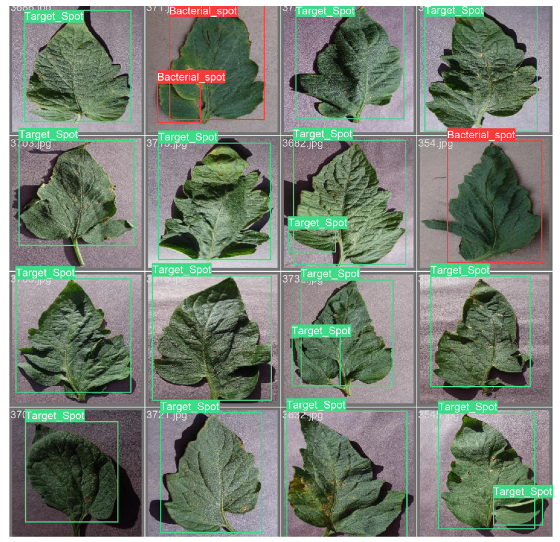 Applsci 13 10063 g019