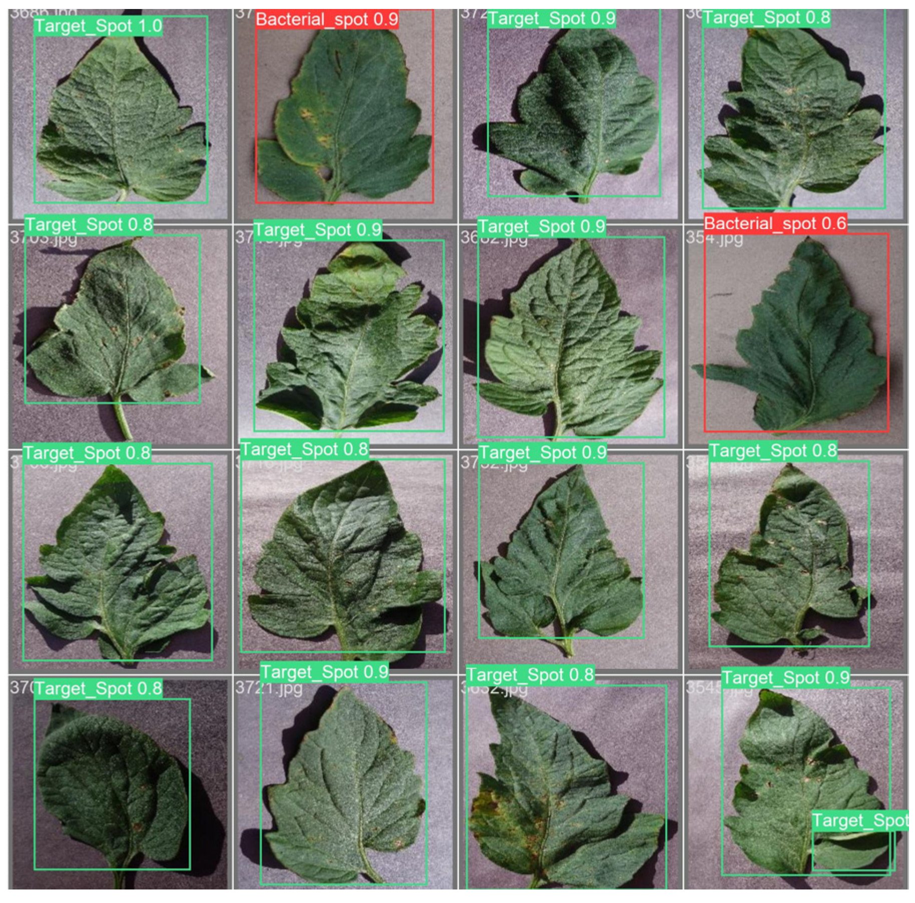 Applsci 13 10063 g020