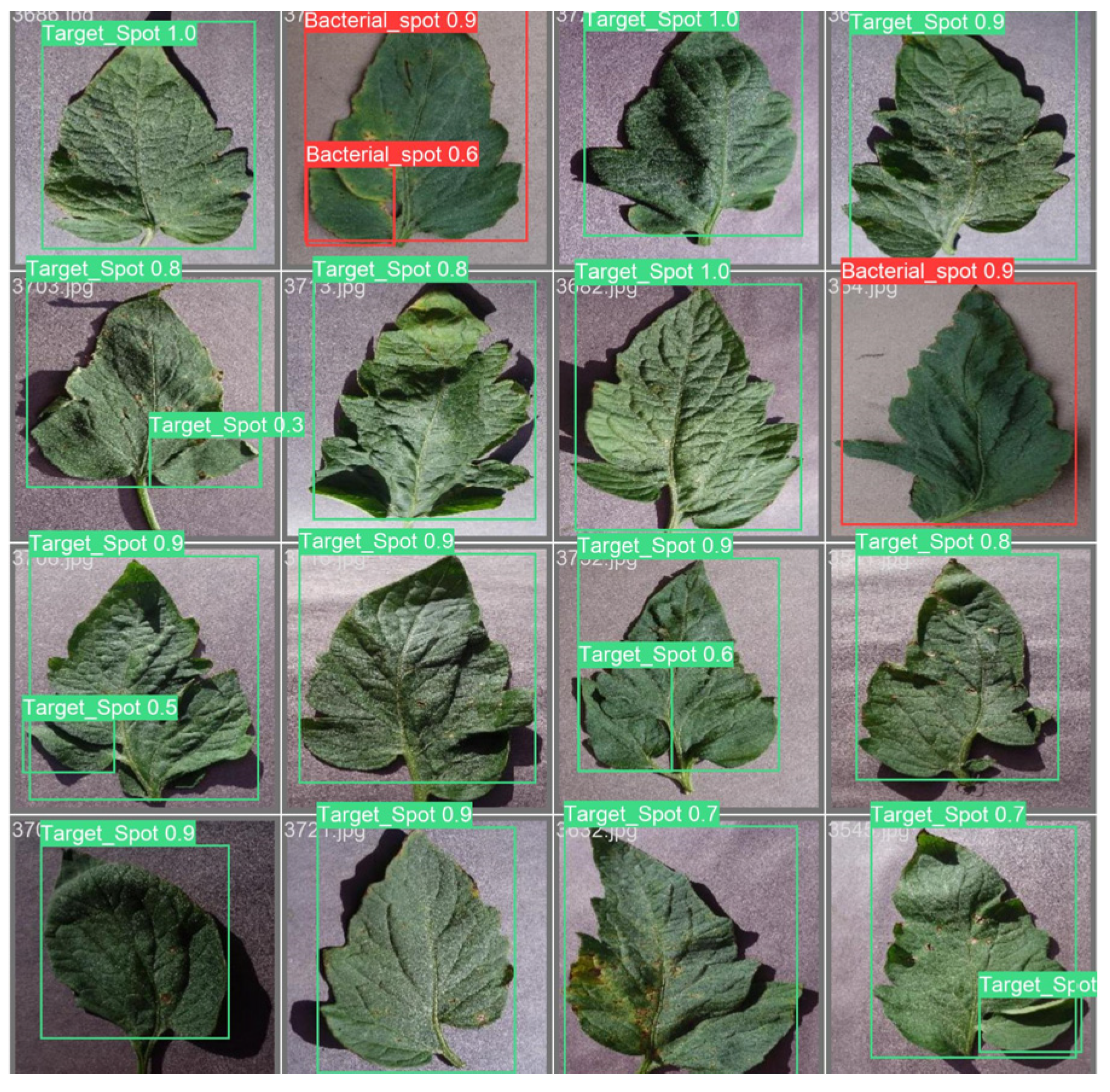 Applsci 13 10063 g021