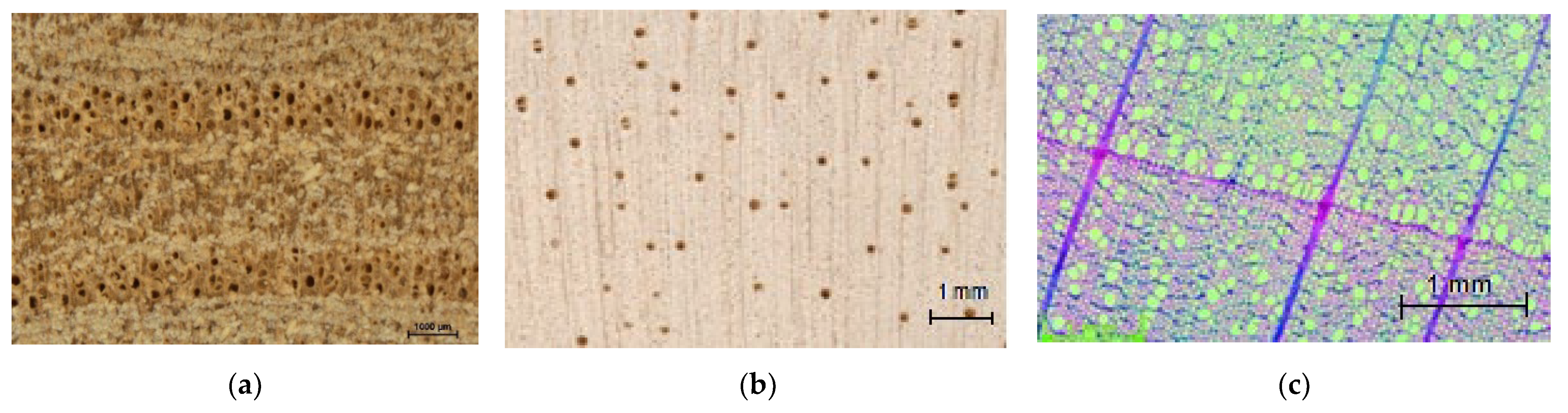 Applsci 13 10209 g001