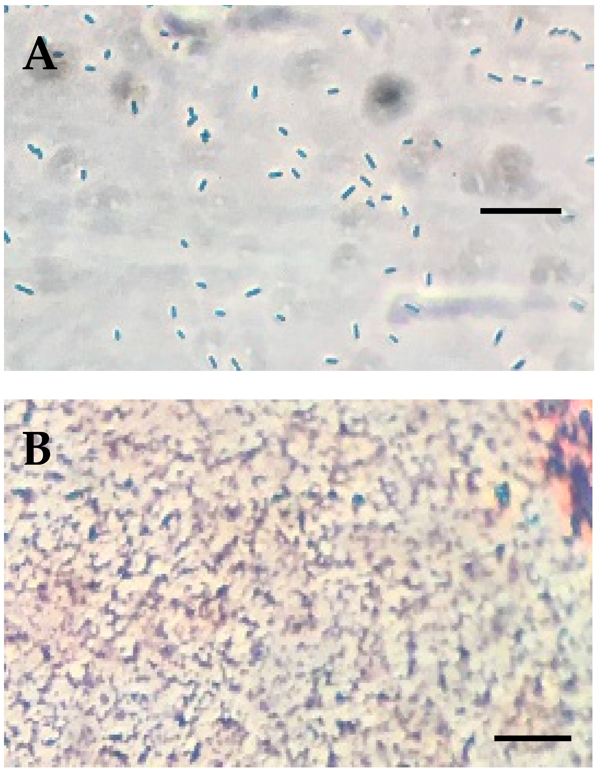 Applsci 13 10257 g002